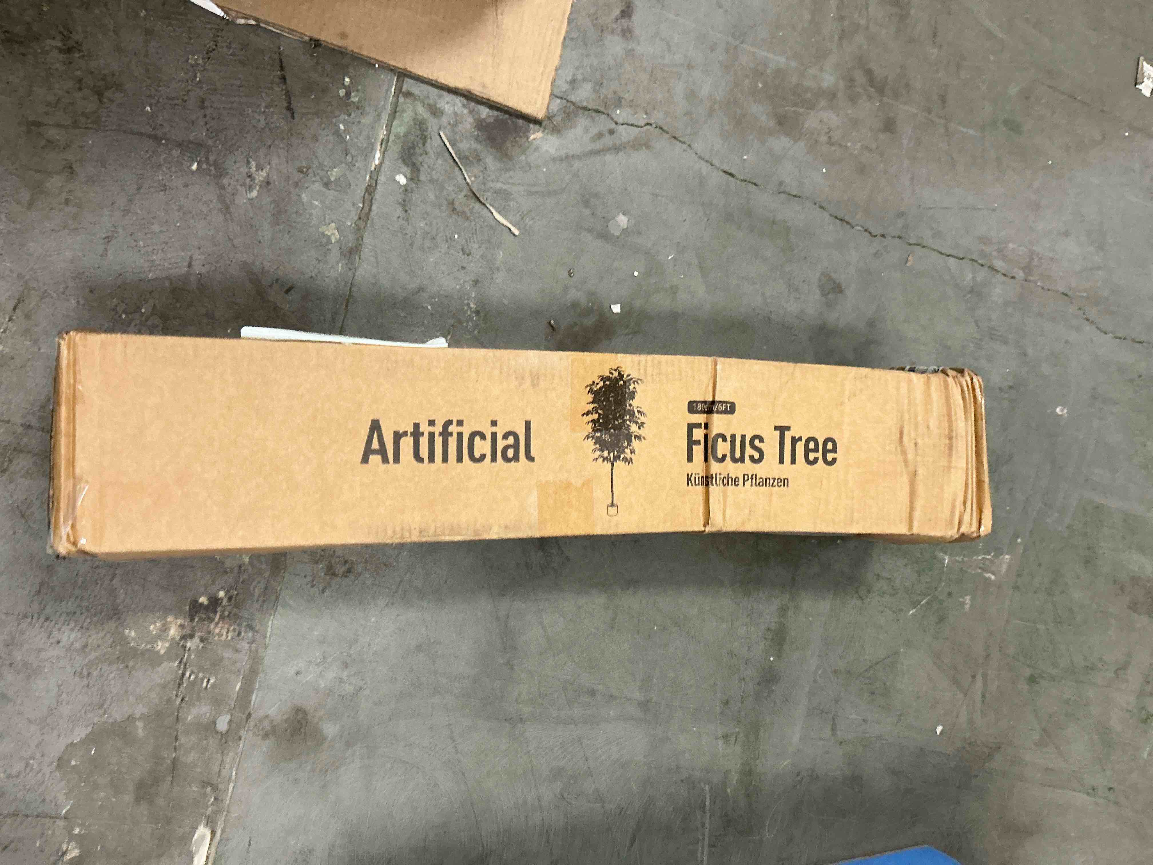 https://s3.amazonaws.com/lotting-images-prod/EmanualPiazza/TEA3577485_1758731476979.jpeg