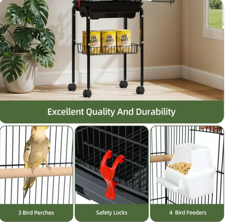 https://s3.amazonaws.com/lotting-images-prod/EmanualPiazza/TEA3577533_1758810964510.jpeg