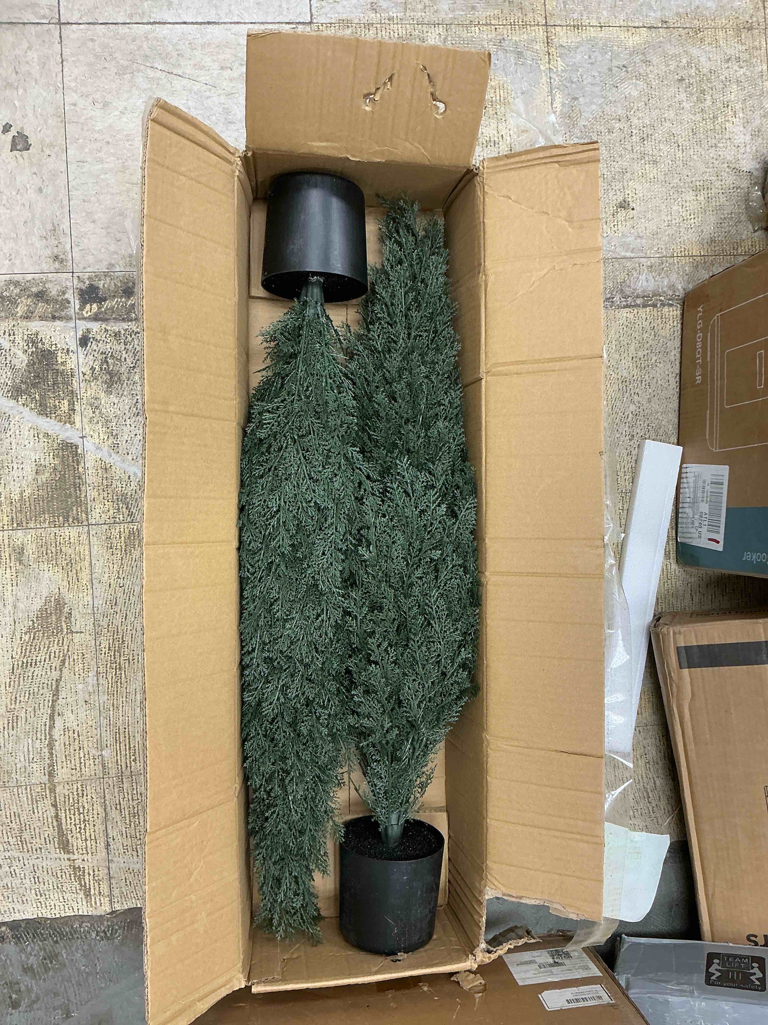 https://s3.amazonaws.com/lotting-images-prod/EmanualPiazza/TEA3577925_1759424096489.jpeg