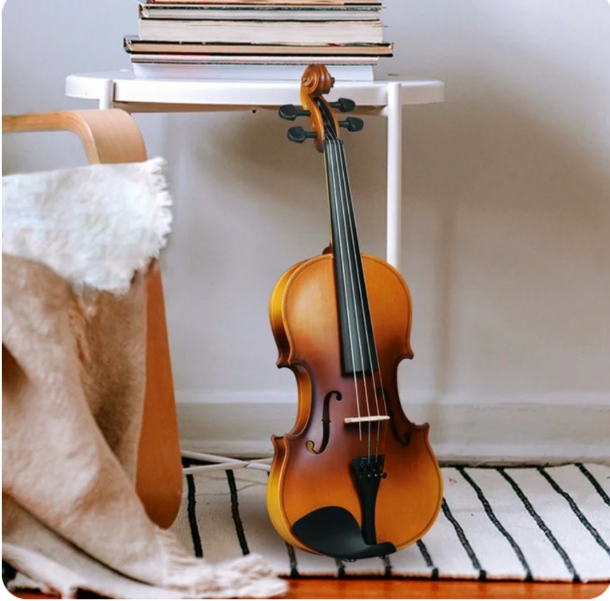 adm violin 1/2 full size, adults violin beginner set with fingerboard sticker, shoulder rest and tuner