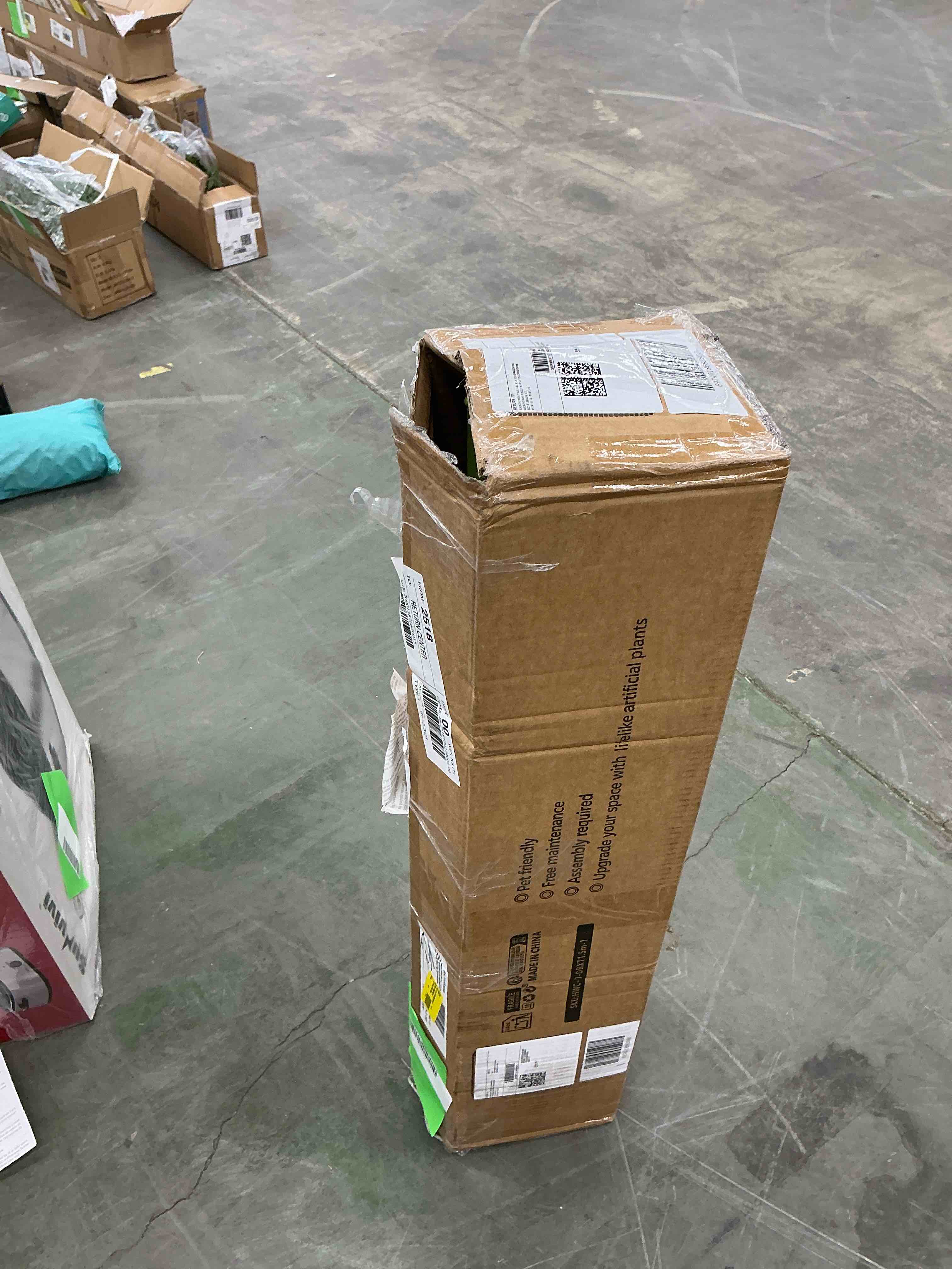 https://s3.amazonaws.com/lotting-images-prod/EmanualPiazza/TEA3578519_1760377384457.jpeg