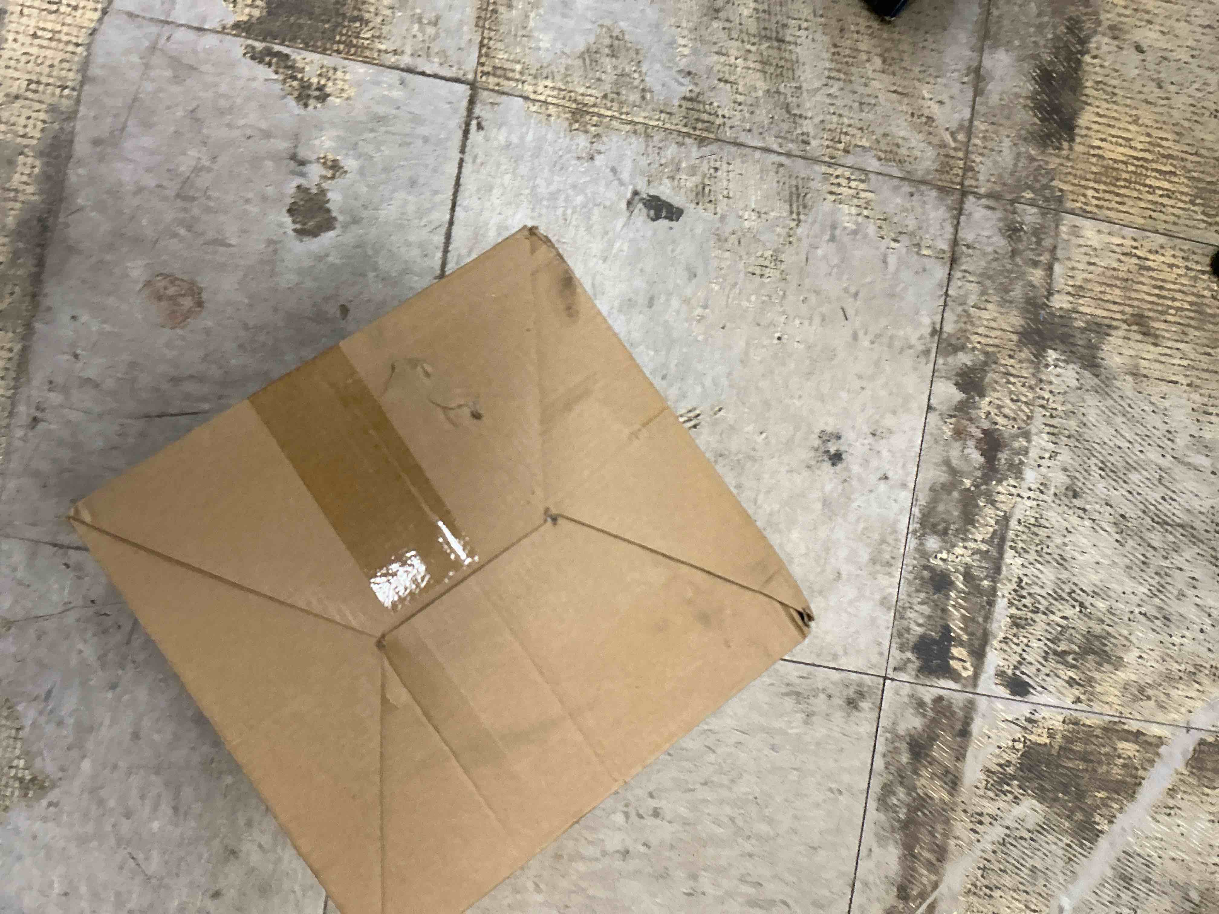https://s3.amazonaws.com/lotting-images-prod/EmanualPiazza/TEA3579188_1761064523685.jpeg