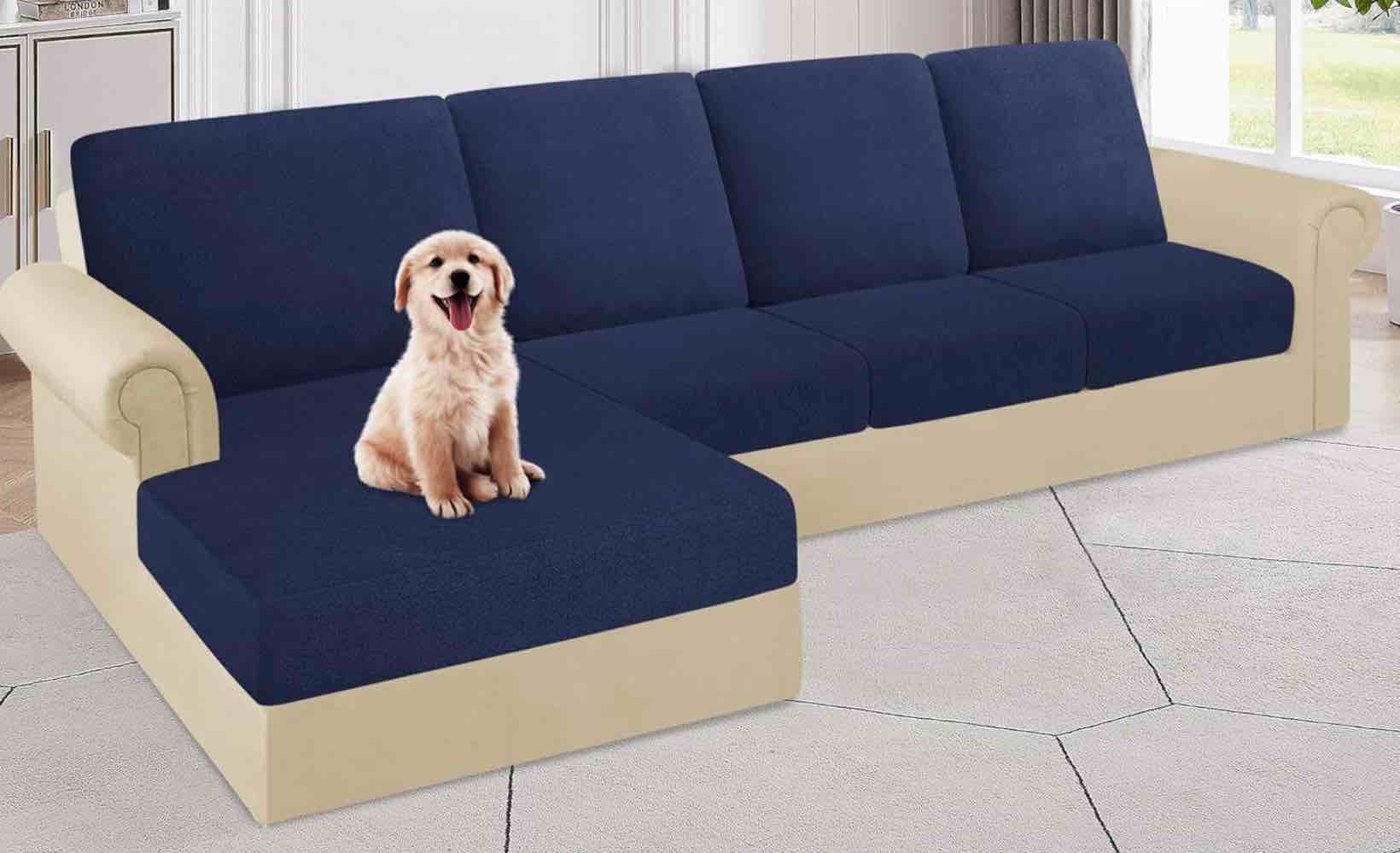 Deals! Deals! Deals!