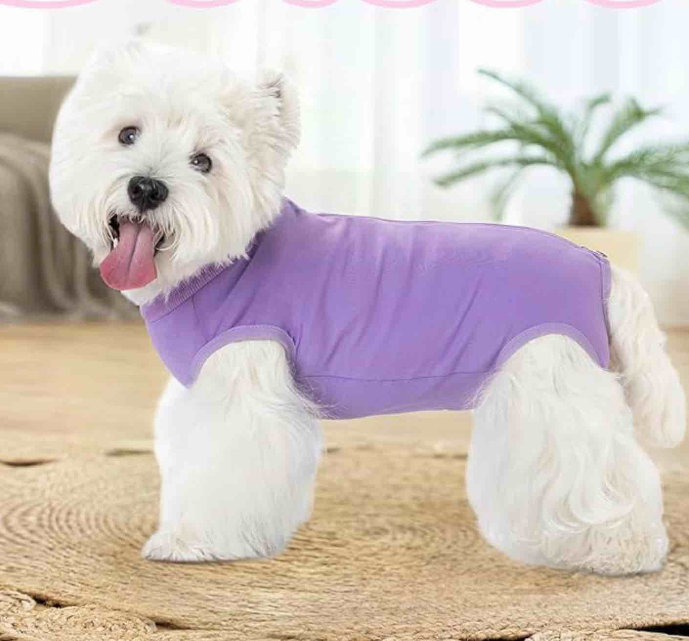 Coppthinktu Dog Surgery Suit Recovery Suit for Dogs After Surgery Female, Dog Onesie Neuter Puppy Sp