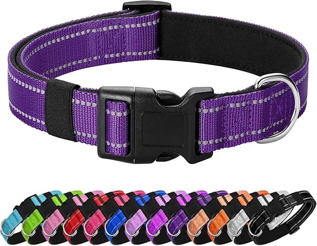 dog collar, soft neoprene padded & safety locking buckle adjustable pet collar (purple, xs-with airtag holder) purple xs