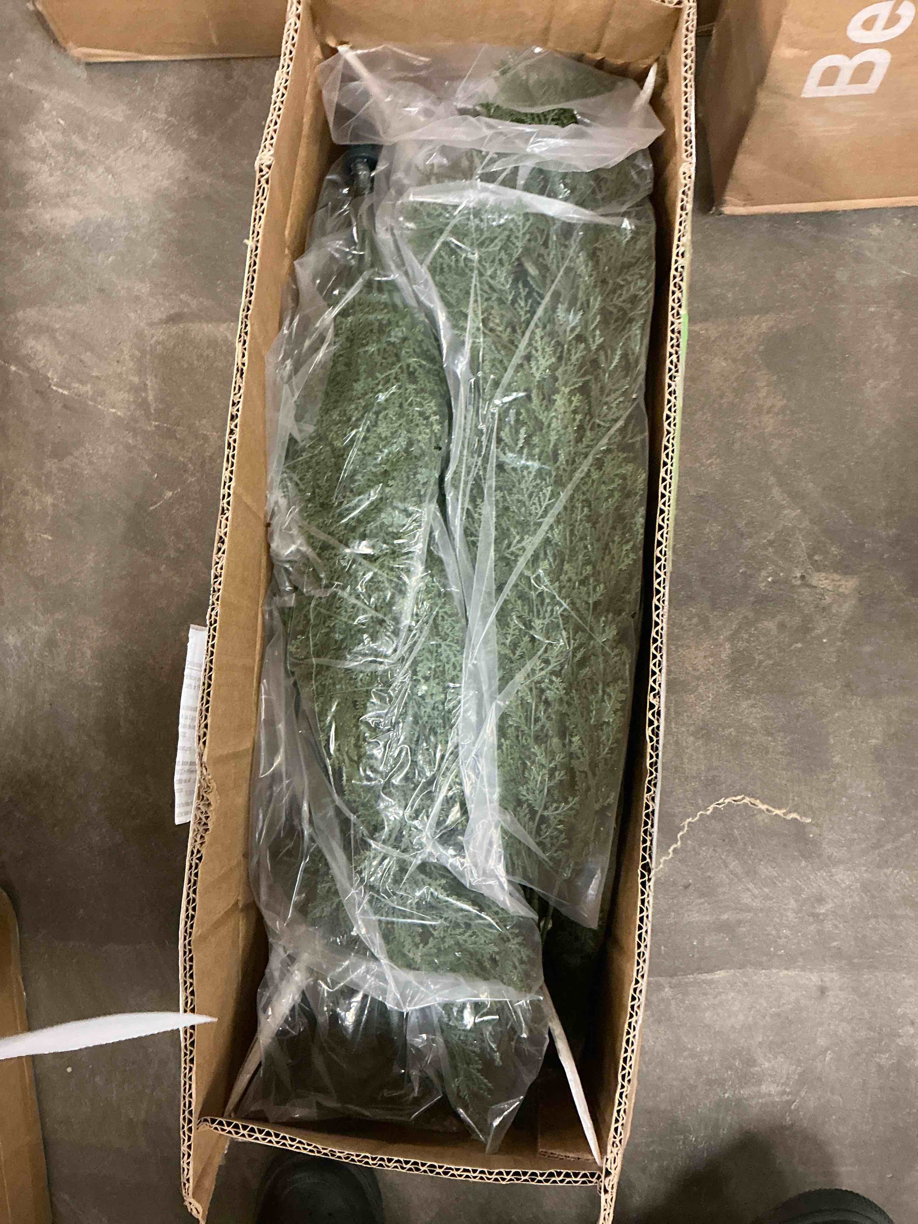 Condition photo showing New/Like New for Artificial Cedar Tree 2 Pack 3 ft Outdoor Artificial Topiary Cedar Plants Fake Tree UV Rated Potted Plants for Porch Decor Faux Pine Tree for Perfect Housewarming Gift