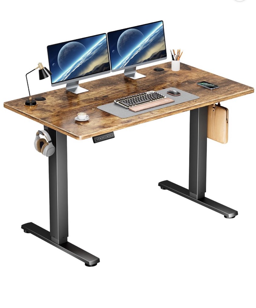 edx Electric Standing Desk, Height Adjustable Desk, 48 x 24 Inches Ergonomic Stand up Desk with Memory Preset and T-Shaped Metal Bracket for Home Office
