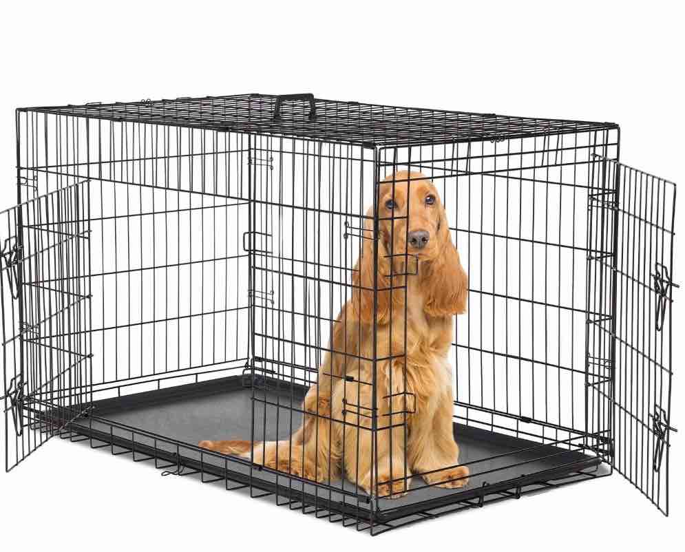 concetta 48 inch double-door folding dog crate, portable small cage with divider, leak-proof tray
