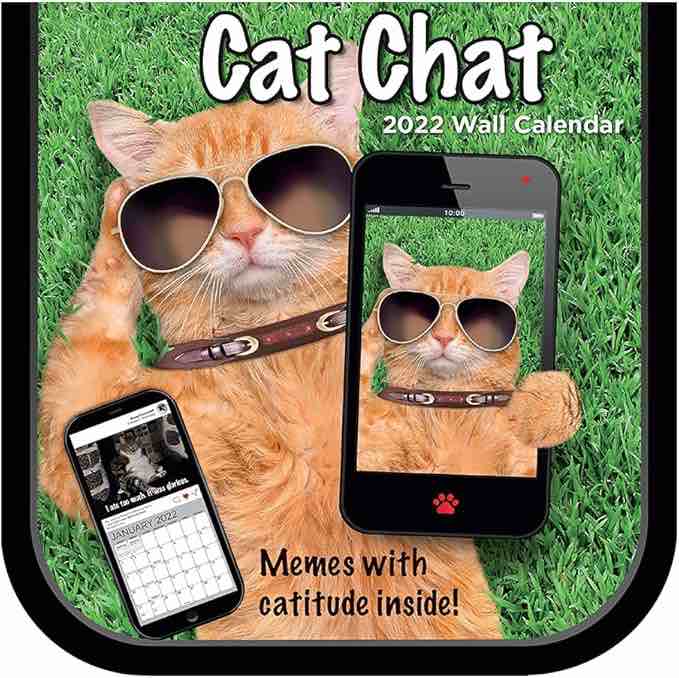 OMEYA 2026 Wall Calendar, 12-Month Calendar 12" x 12", Hanging Calendar with Thick Paper, Julian Dates, 4 Month Preview Page for 2025, Cool Cats Design for Office, Home Planning, Great for Gifting