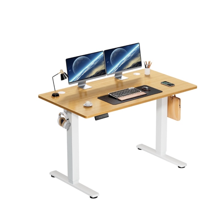 edx Electric Standing Desk, Height Adjustable Desk, 48 x 24 Inches Ergonomic Stand up Desk with Memory Preset for Home Office, Natural
