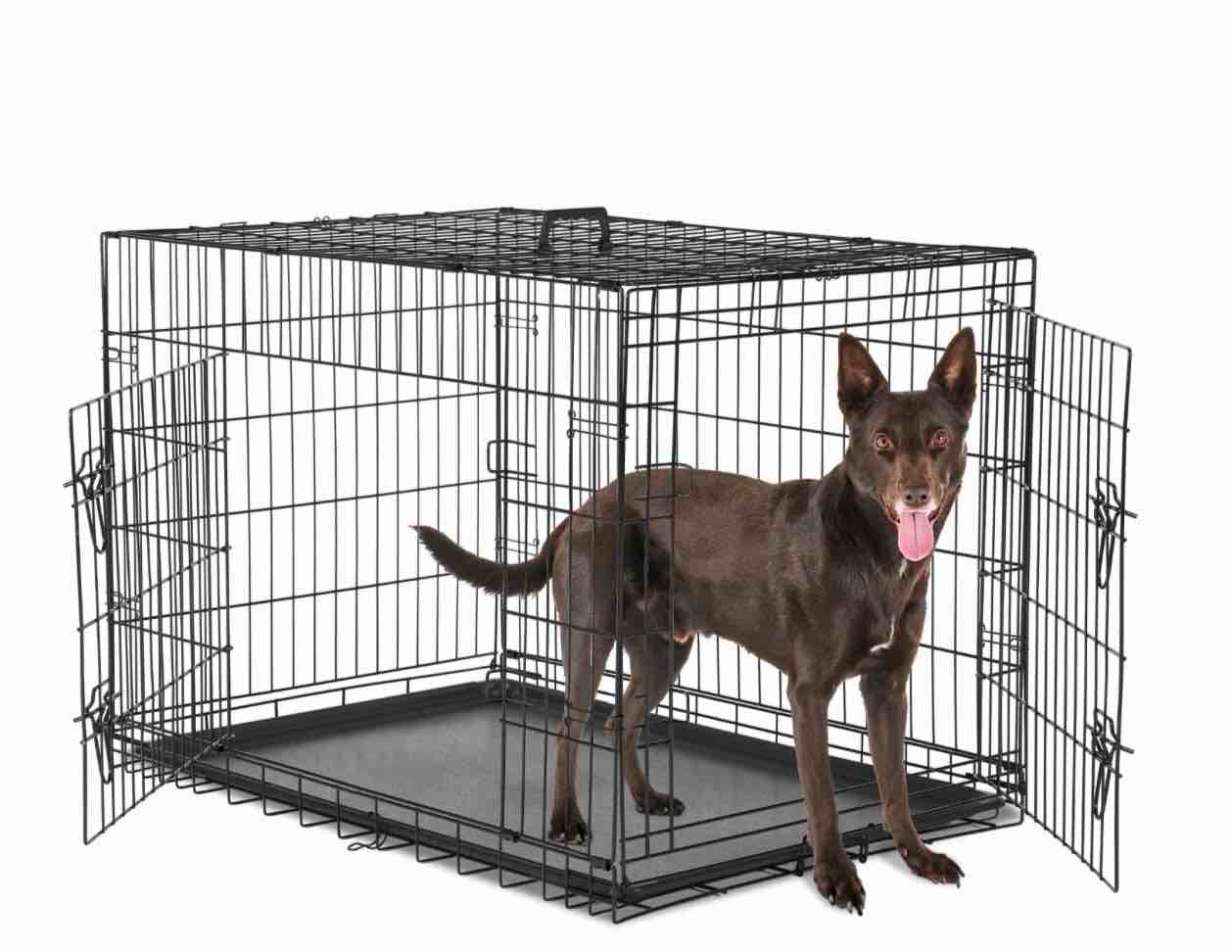 concetta 36 inch double-door folding dog crate, portable small cage with divider, leak-proof tray