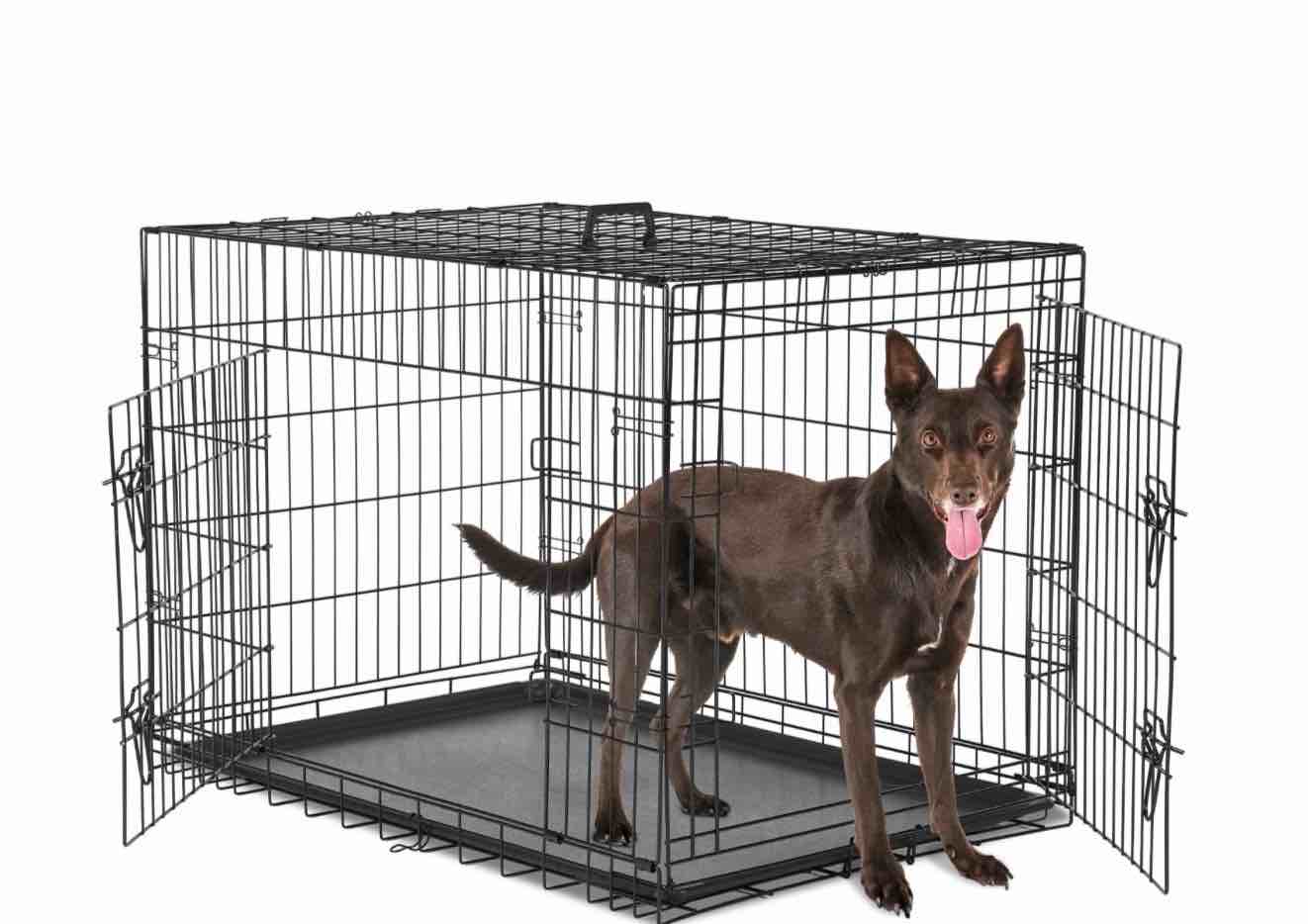 bestpet 48 inch foldable metal dog crate for large dogs double door divider removable tray(black)