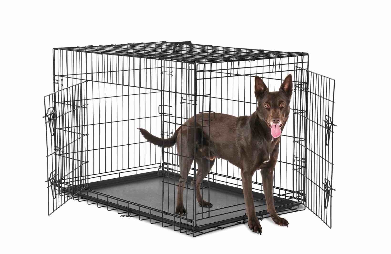 concetta 36 inch double-door folding dog crate, portable small cage with divider, leak-proof tray