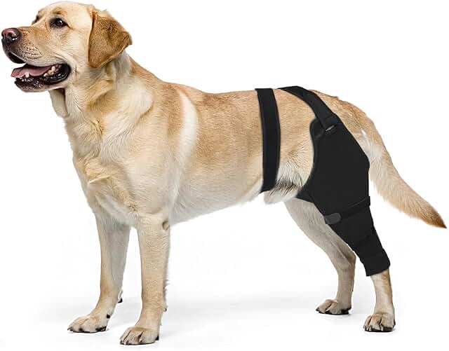 Dog Rear Leg Sleeve to Prevent Licking - Comfortable Recovery Sleeve for Back Hind Leg, Wound Recove