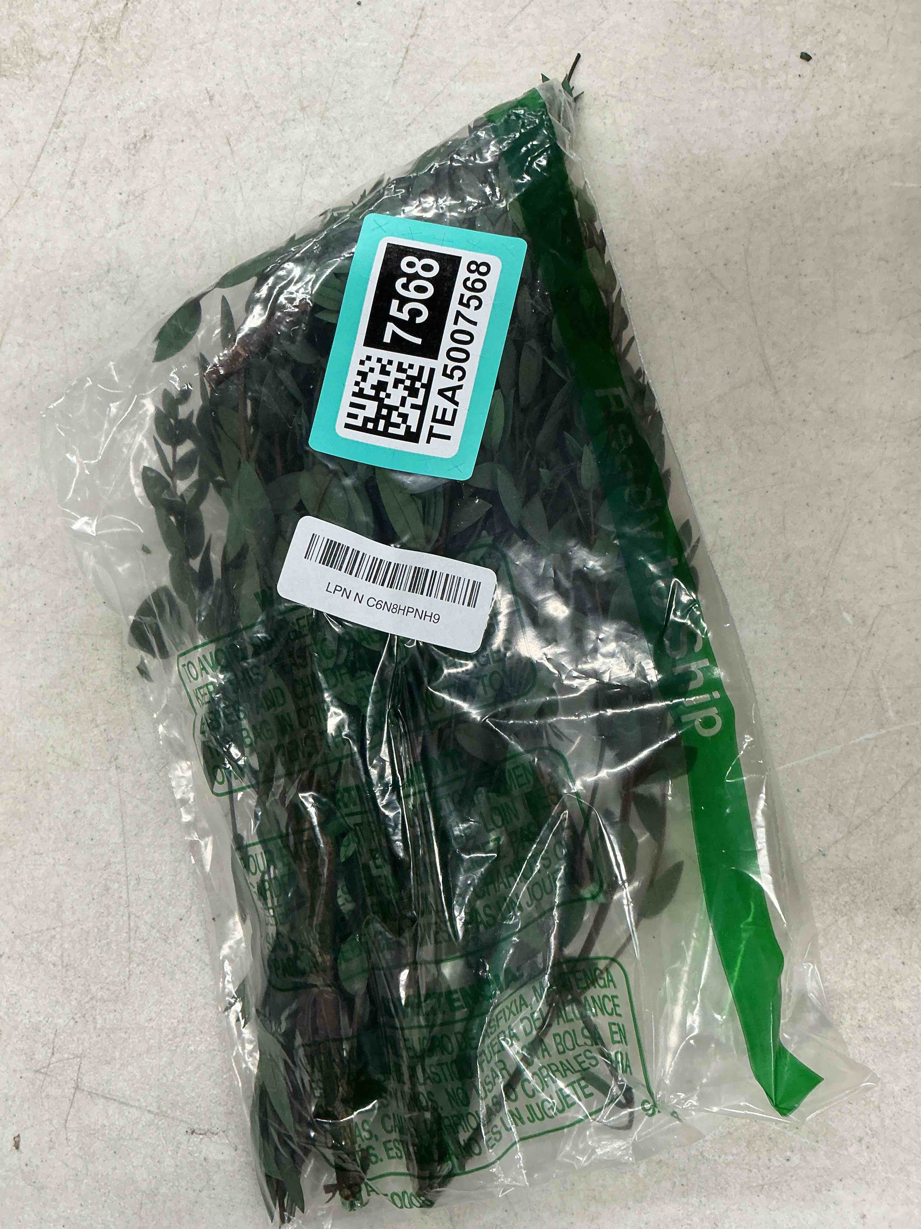 Condition photo showing Good Condition for real eucalyptus stems greenery decor 20pcs 17" dried willow eucalyptus plant preserved greenery stems for home vase filler wedding flowers arrangement spring decorations green-fine willow