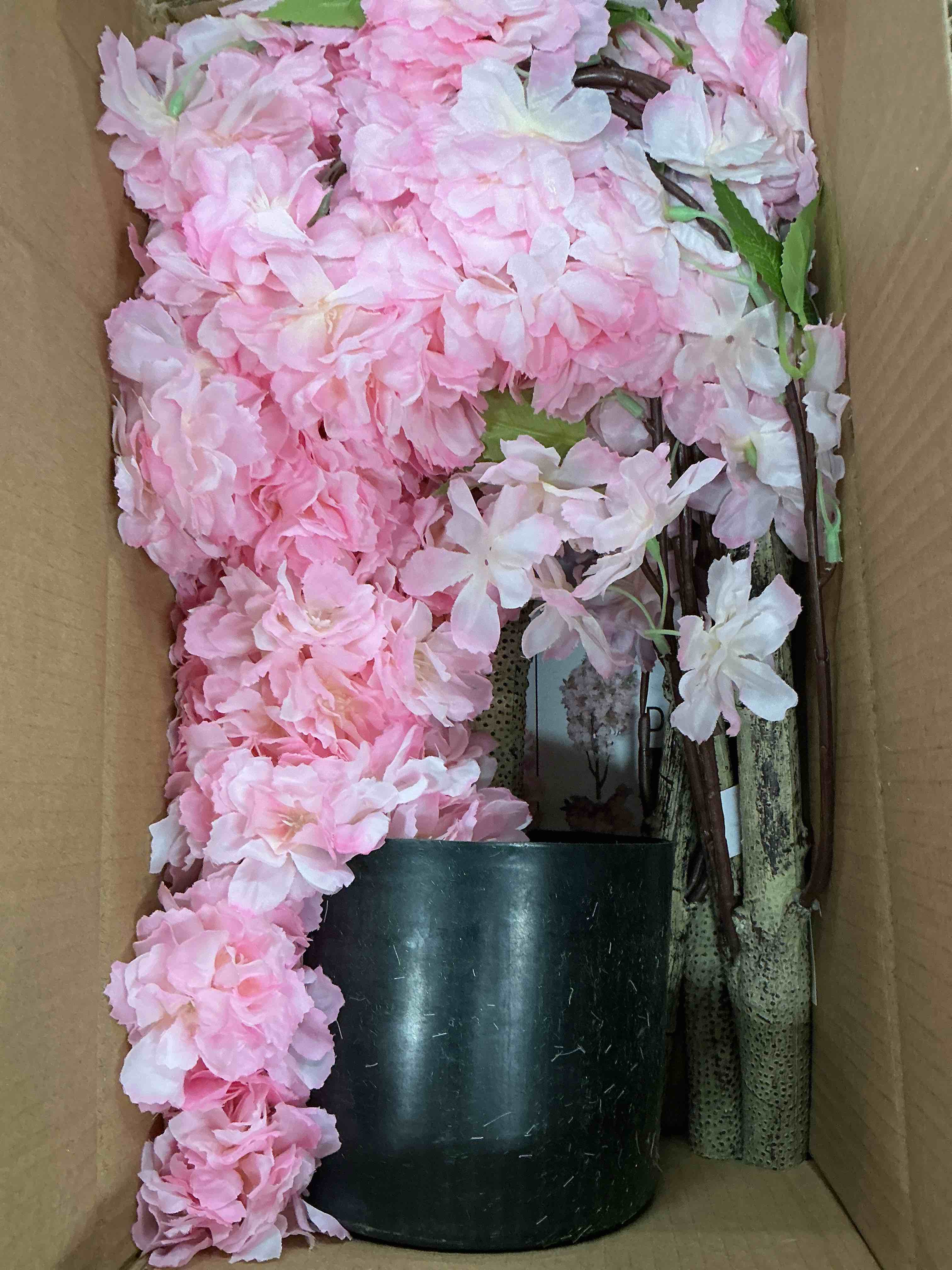 https://s3.amazonaws.com/lotting-images-prod/EmanualPiazza/TEA5007602_1778258282649.jpeg