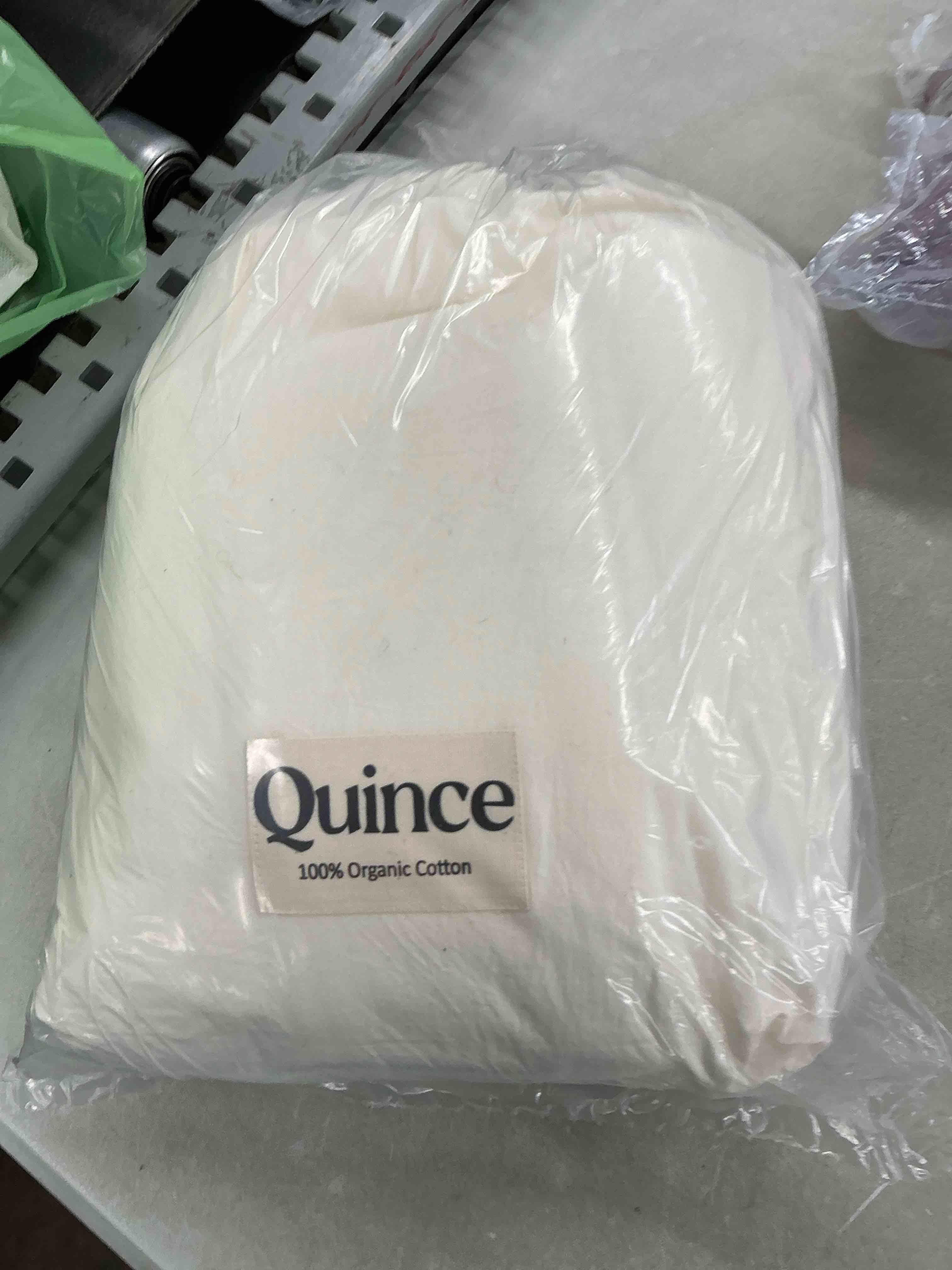 Condition photo showing Good Condition for quince organic brushed cotton sheet set, king, ivory