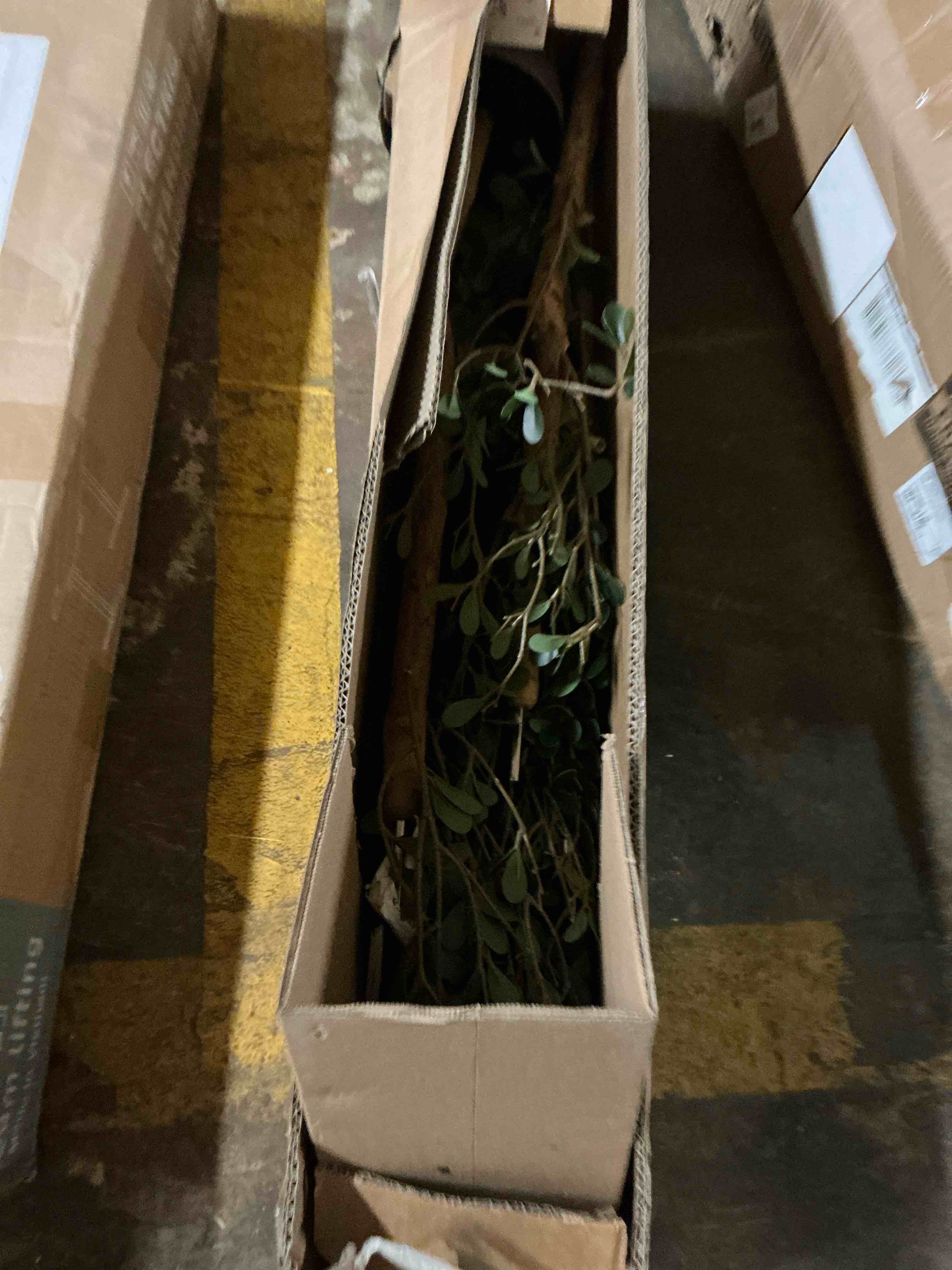 https://s3.amazonaws.com/lotting-images-prod/EmanualPiazza/TEA7037757_1781619565629.jpeg