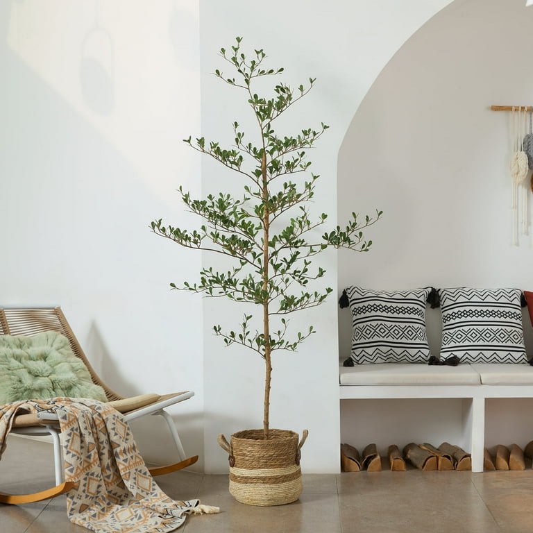 DR.Planzen 6ft Faux Black Olive Tree - Realistic Potted Artificial Tree with Natural Trunk & Silk Leaves - Tall Faux Plant for Home, Office, Indoor & Outdoor Decor - Low Maintenance & UV Resistant