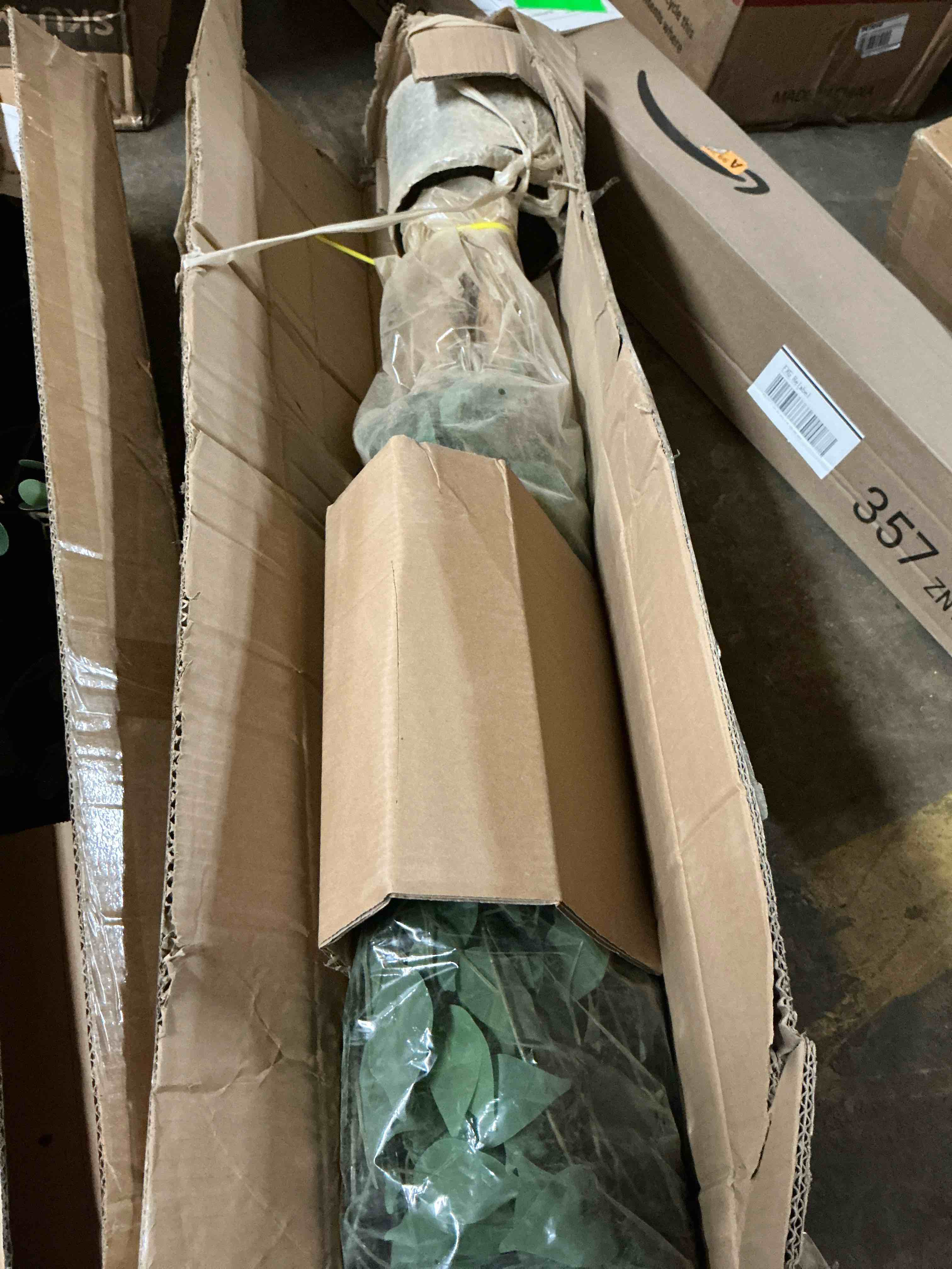 https://s3.amazonaws.com/lotting-images-prod/EmanualPiazza/TEA7037758_1781619858914.jpeg