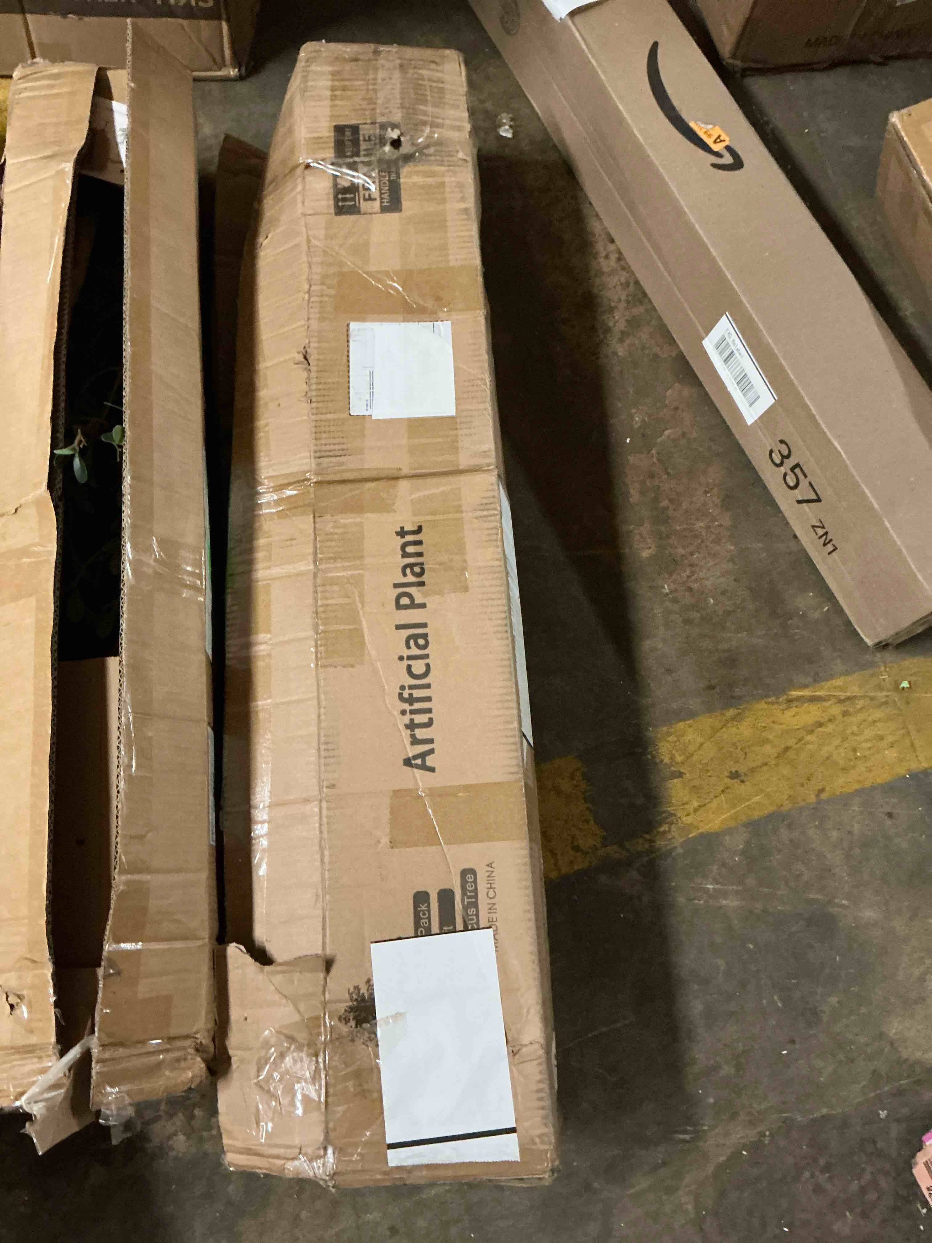 https://s3.amazonaws.com/lotting-images-prod/EmanualPiazza/TEA7037758_1781619866311.jpeg