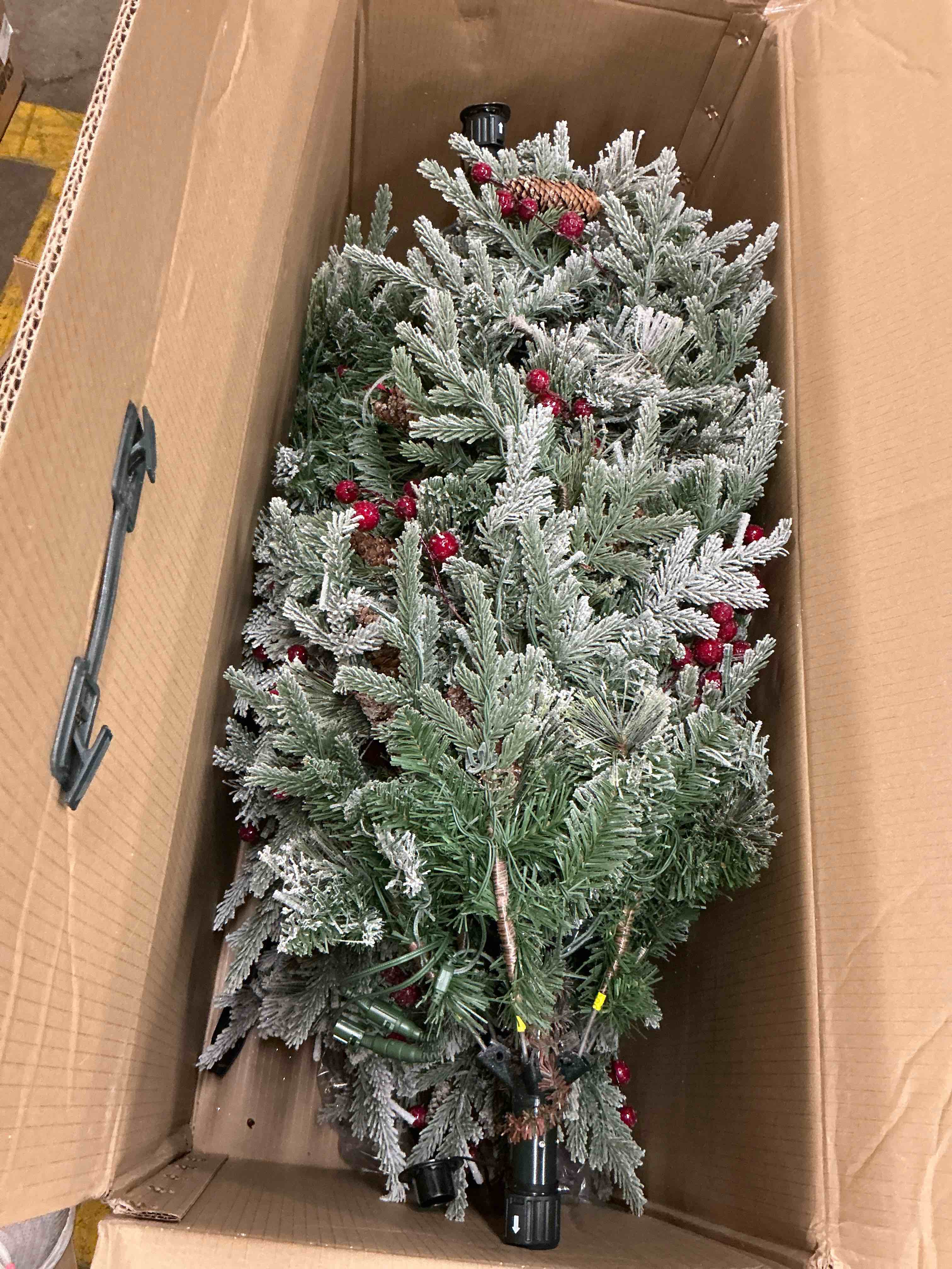 Christmas Trees Deals!