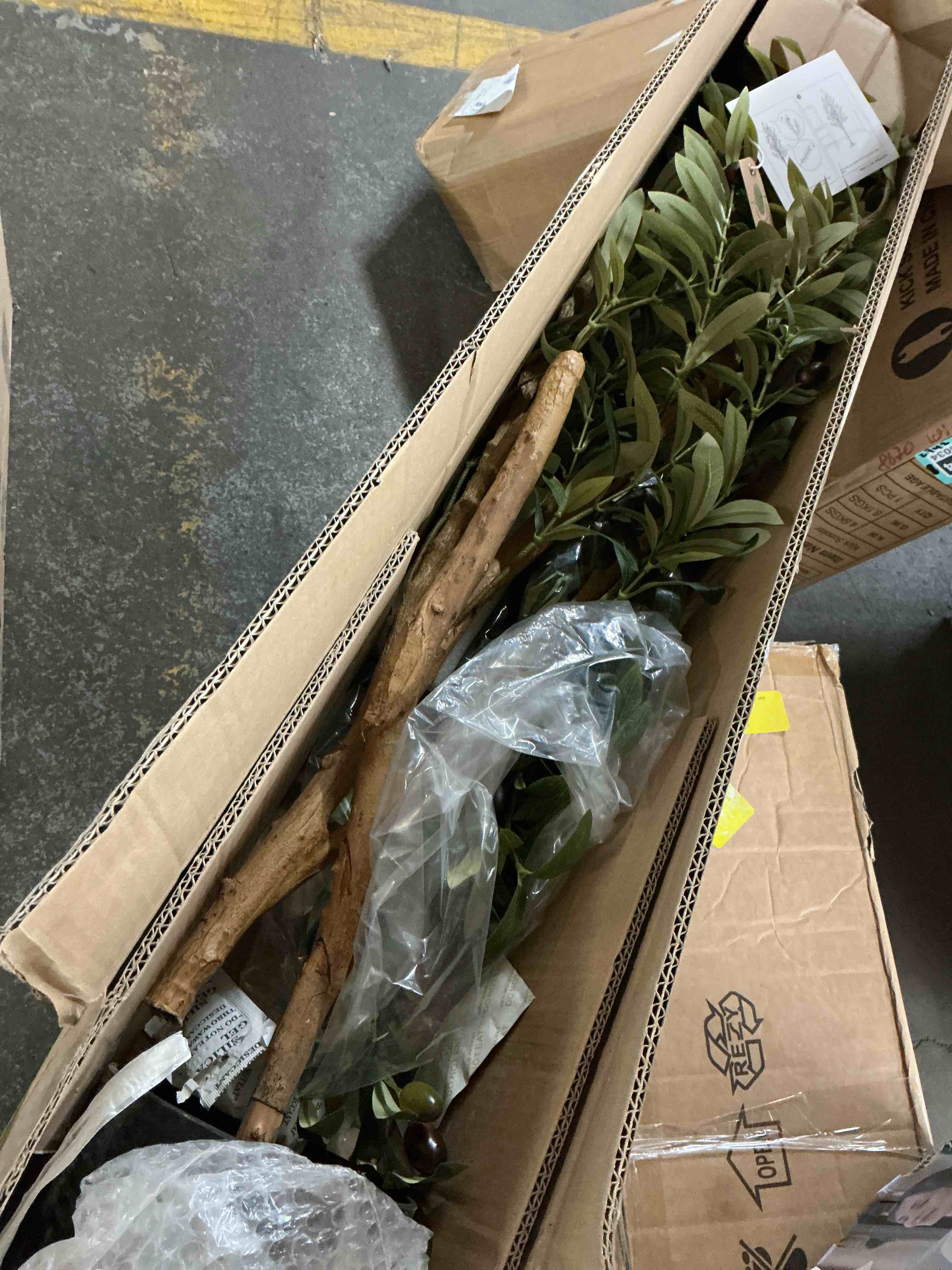 https://s3.amazonaws.com/lotting-images-prod/EmanualPiazza/TEA7046042_1782137817957.jpeg