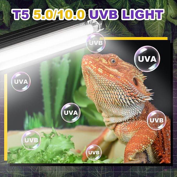 ECOSUB T5 10.0 HO UVB Lighting Combo Kit for Reptiles  with 39W Desert Lamp  White
