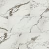 Daltile Premium Large Format Tile Silk Stone EW30 (15.50 sq ft per box 22 boxes equaling 341 sq ft)