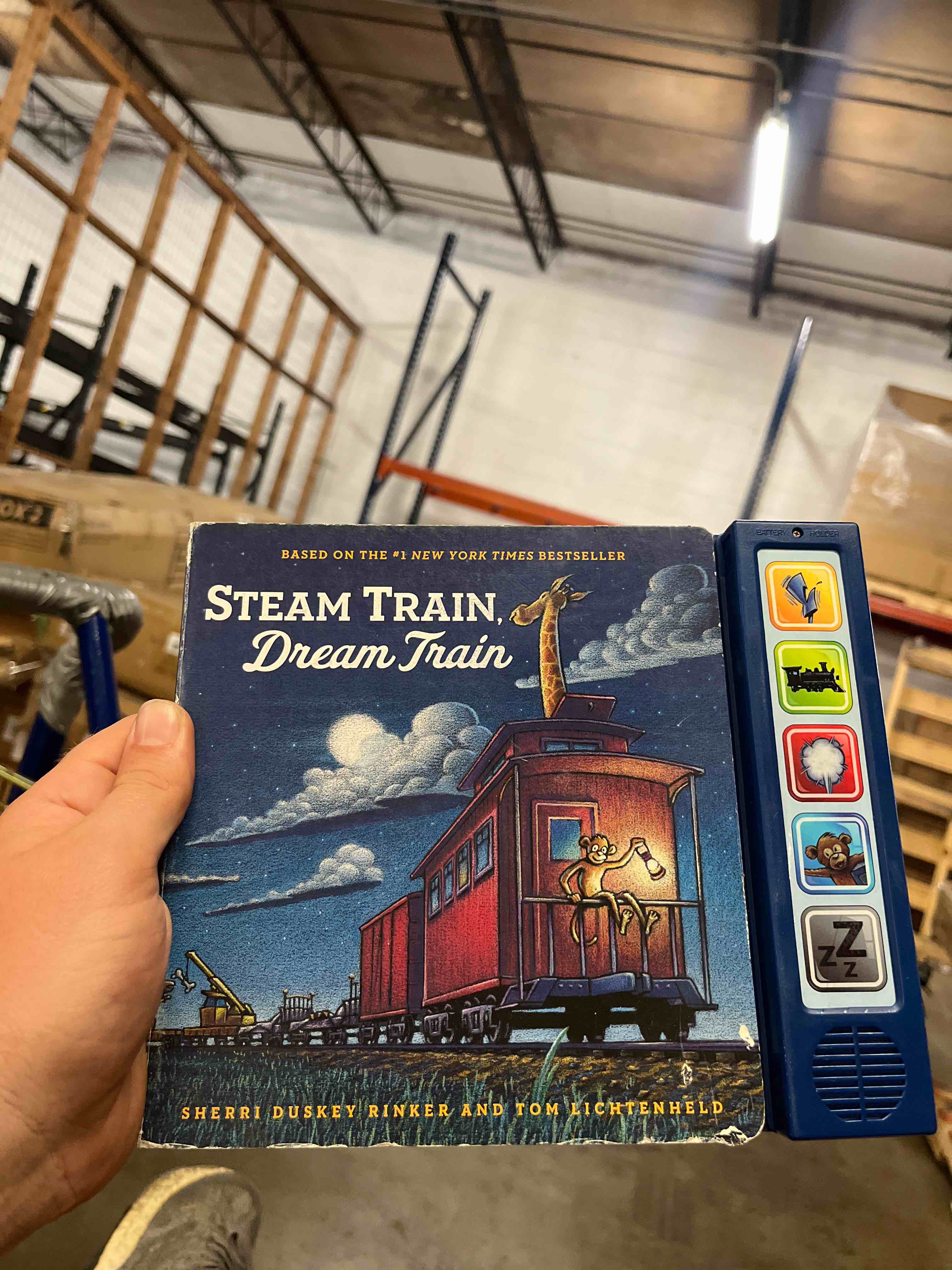 damaged scratch and dent book steam train dream train