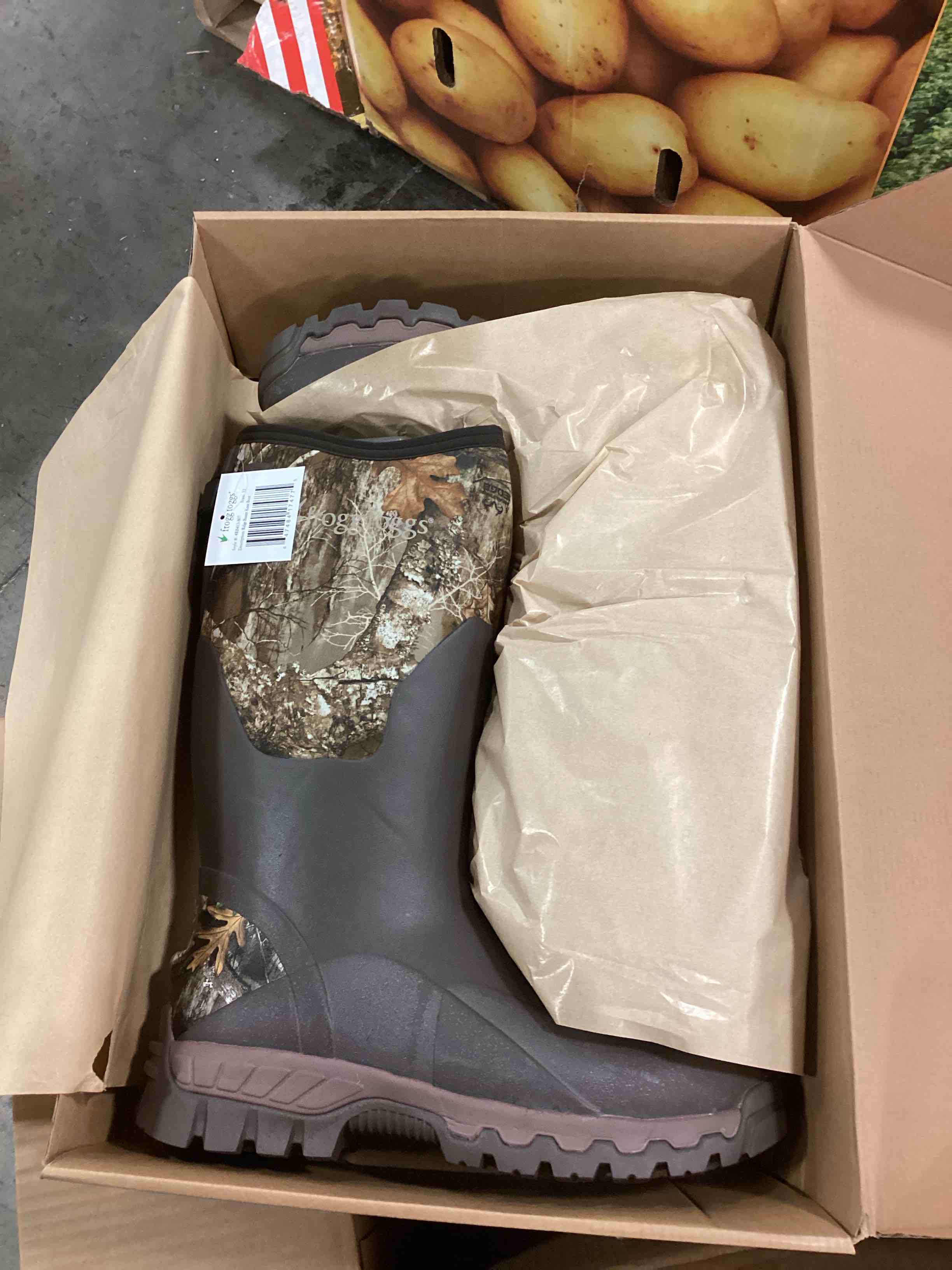 https://s3.amazonaws.com/lotting-images-prod/FROGG_1735597372592.jpeg