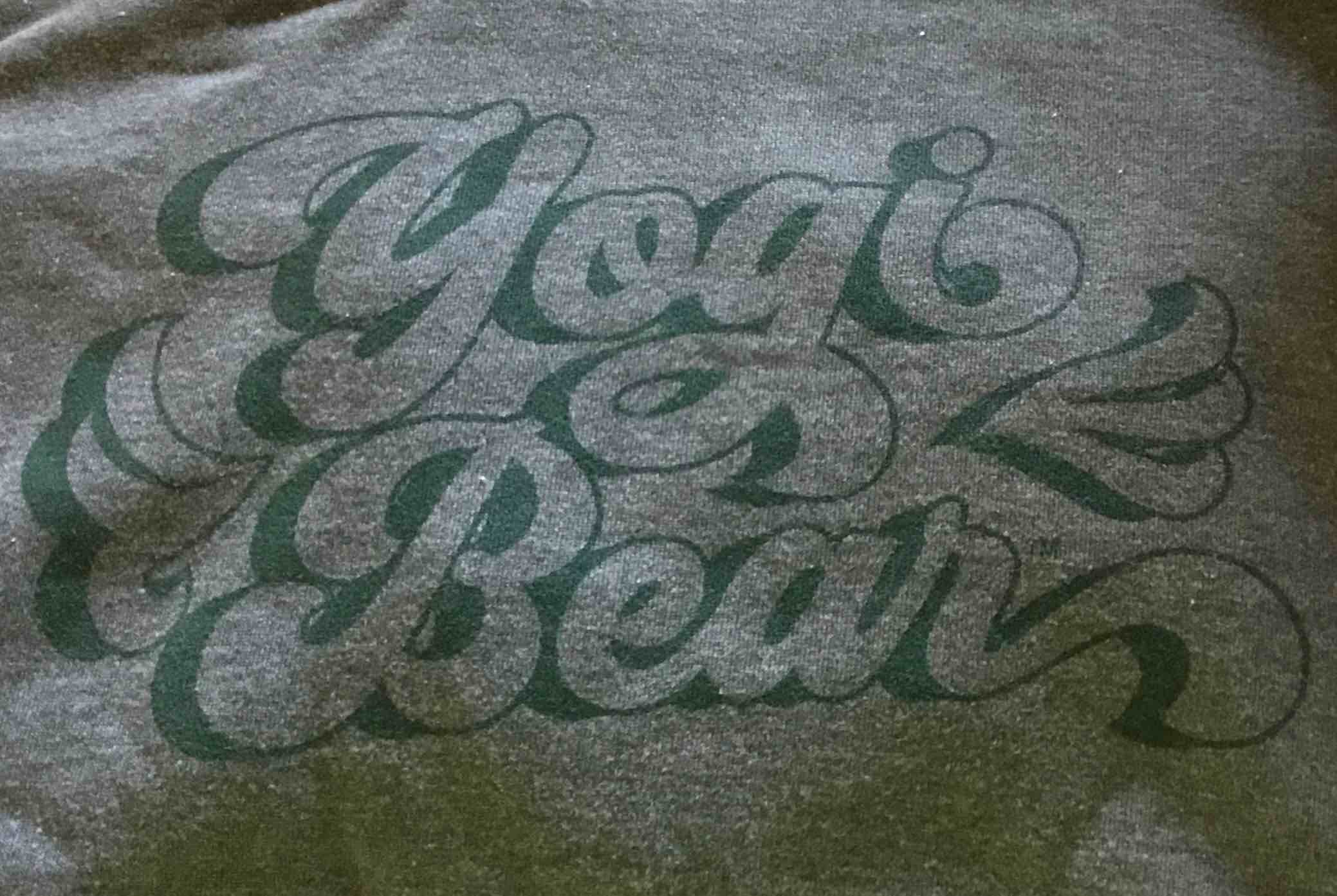 Warner Brothers Green Yogi Bear Hoodie