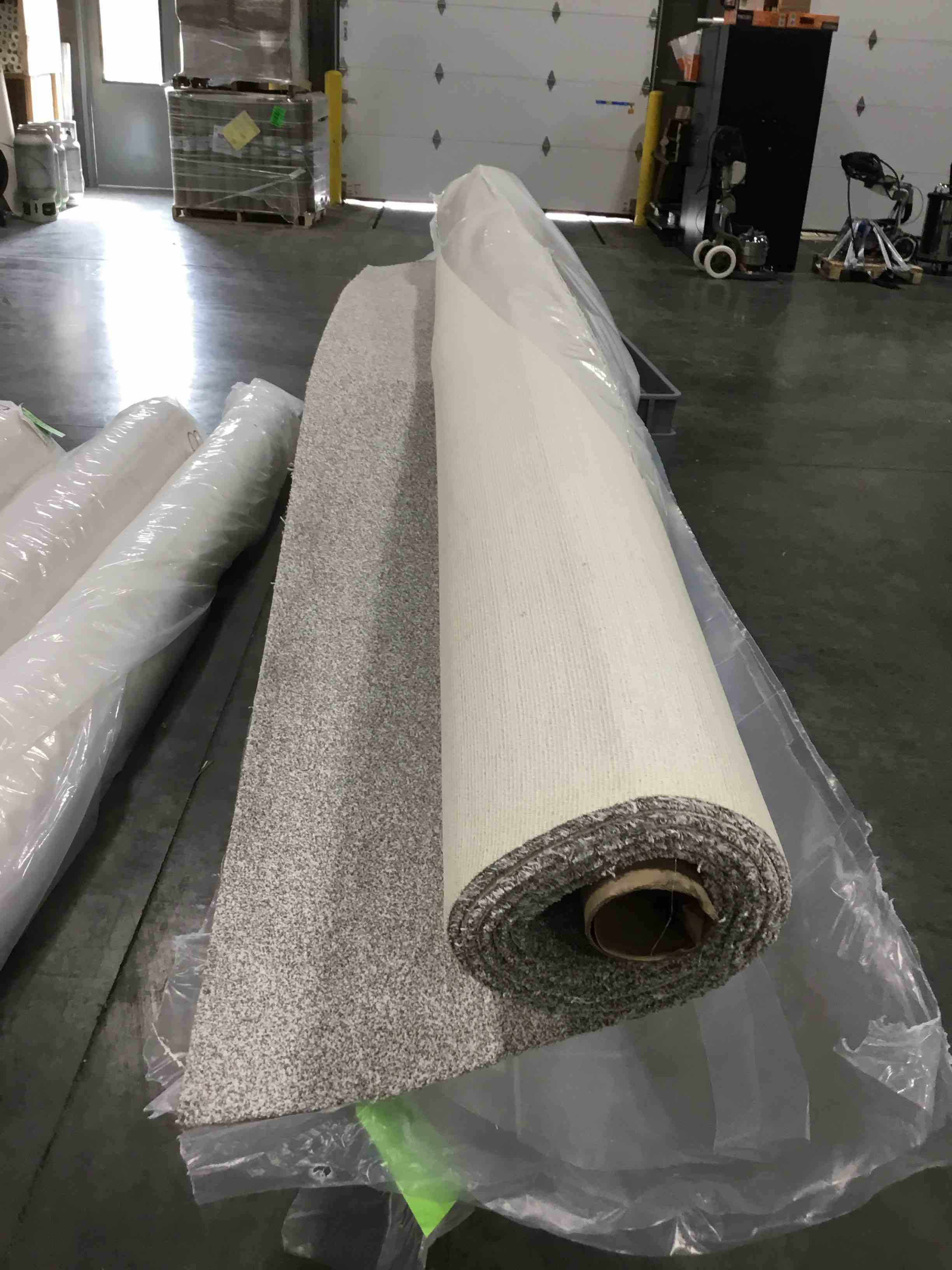 Beautiful Carpet - Perfect for your Home!