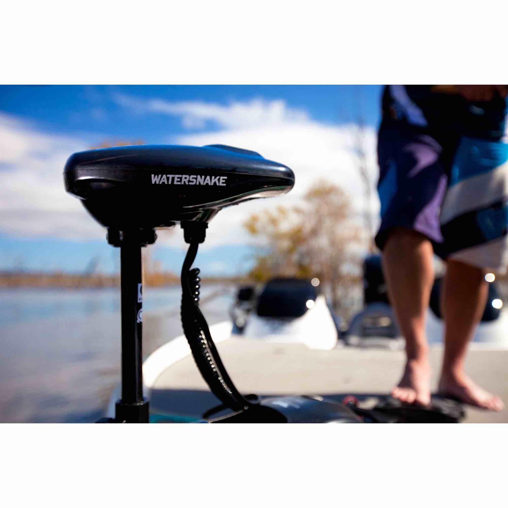 At an amazing price