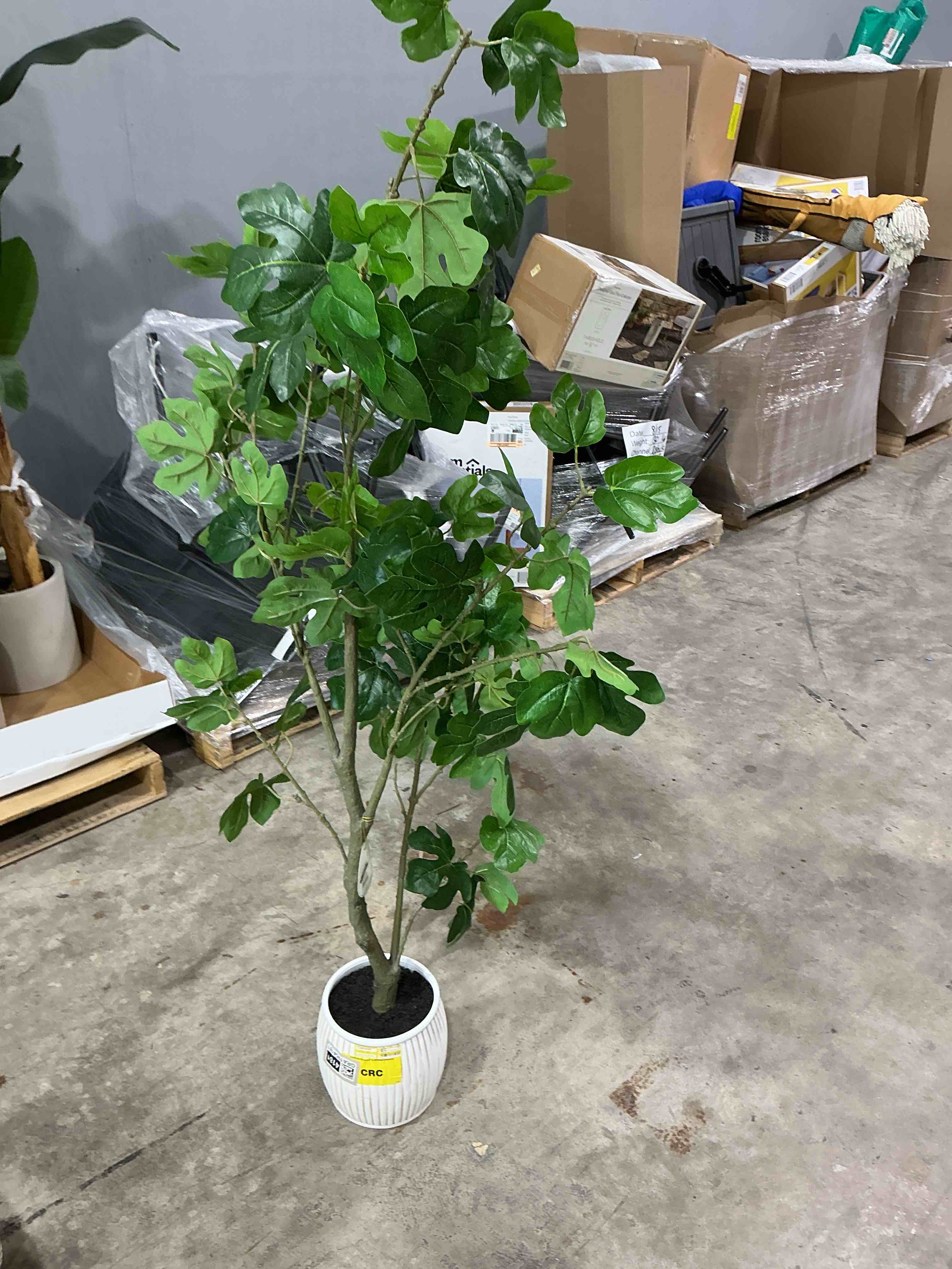 https://s3.amazonaws.com/lotting-images-prod/JasonMadden/GRA1954181_1757533837839.jpeg
