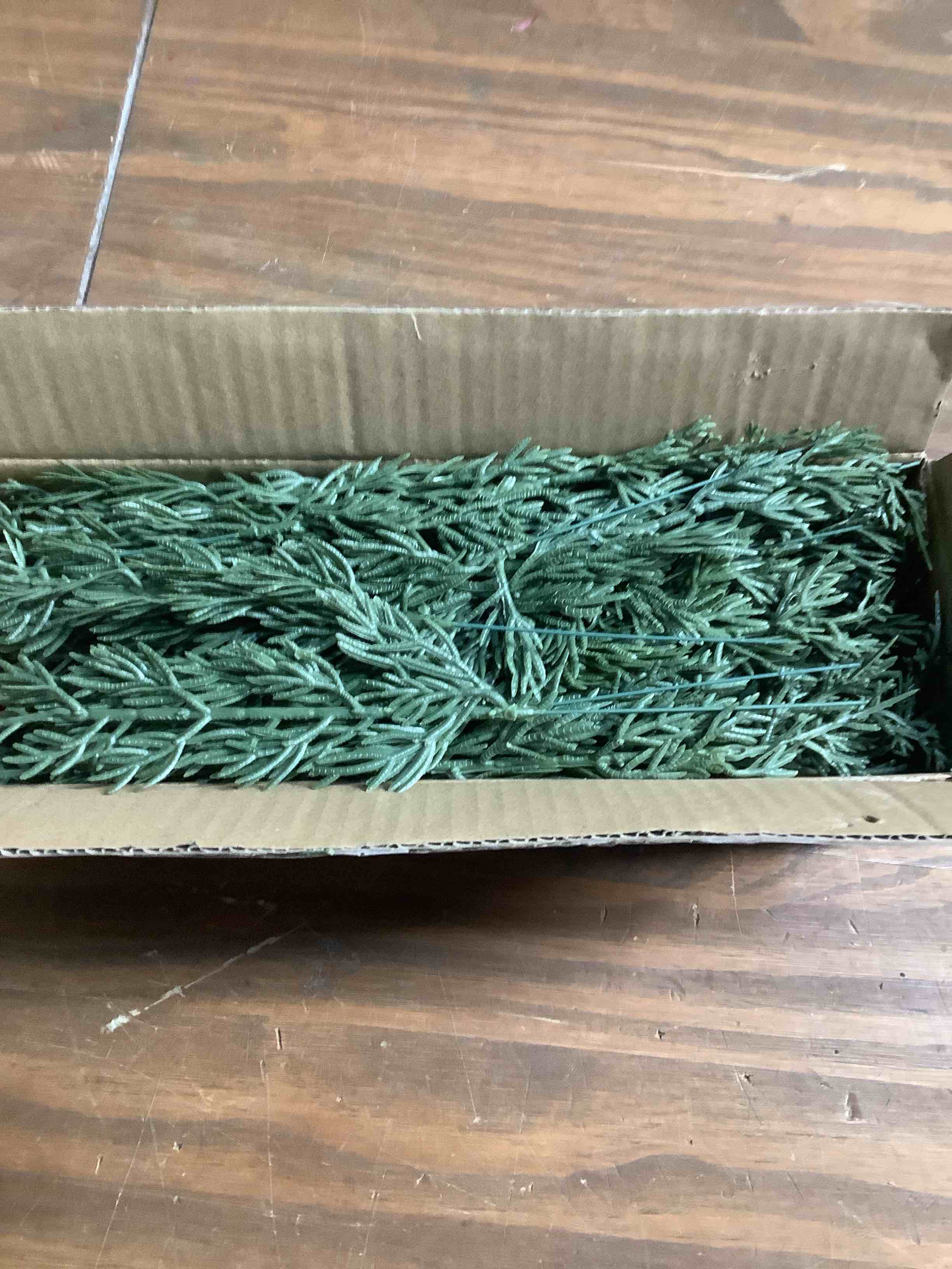 Condition photo showing Good Condition for Watayo 60 Pcs Christmas Artificial Pine Branches with Red Berry Stems, 10.5" Faux Evergreen Norfolk Pine Cypress Leaves Stems, Fake Foliage Pine Needles Picks for DIY Craft Garland Home Decor A Style 60 Pcs