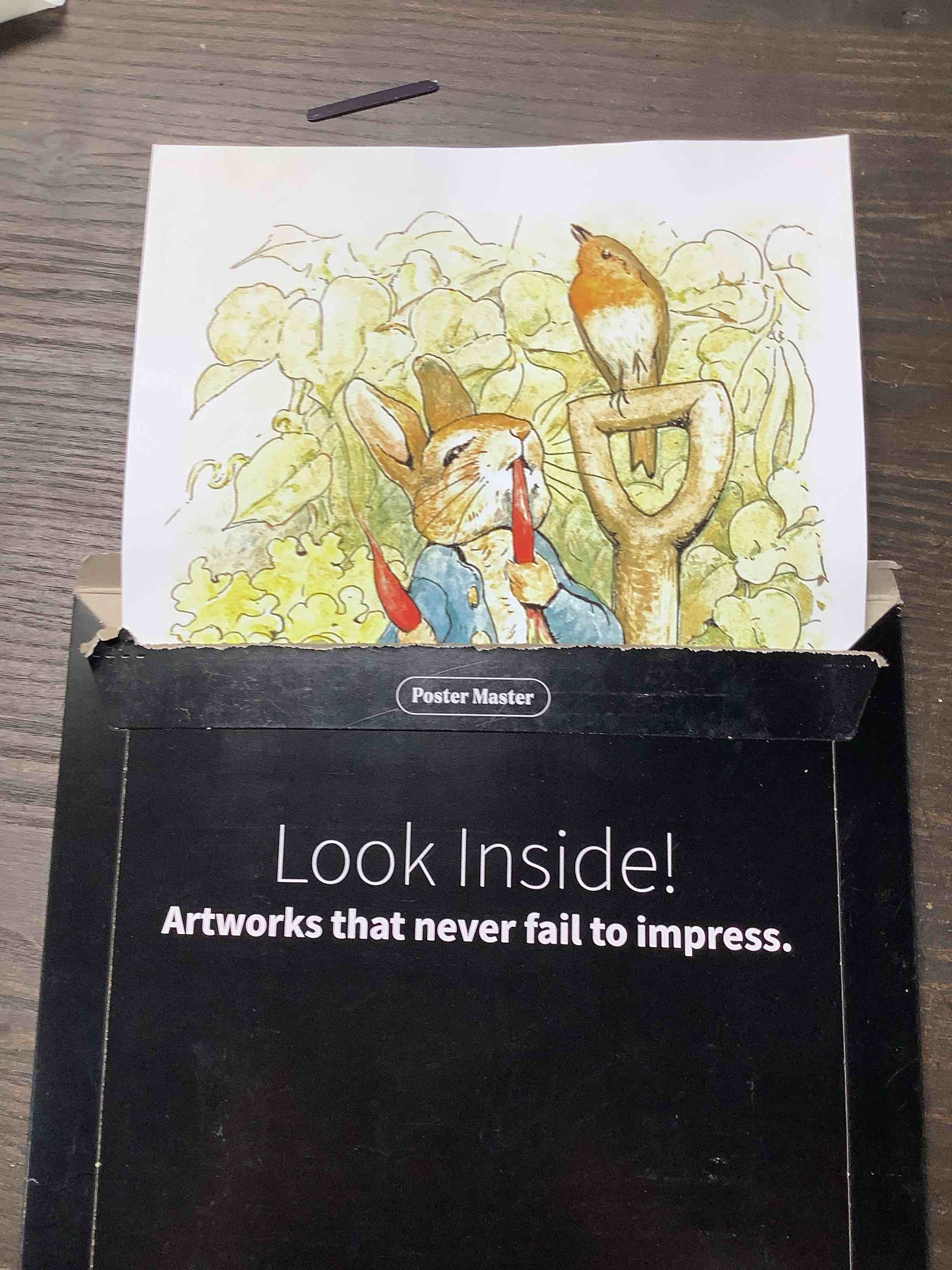 Condition photo showing Good Condition for Poster Master Vintage Peter Rabbit Poster - Retro Story Book Print - Bunny Art - Gift for Boys, Girls, Parents & Animal Lover - Decor for Living Room, Nursery or Kid's Room - 8x10 UNFRAMED Wall Art Unframed 8"L x 10"W Style-02