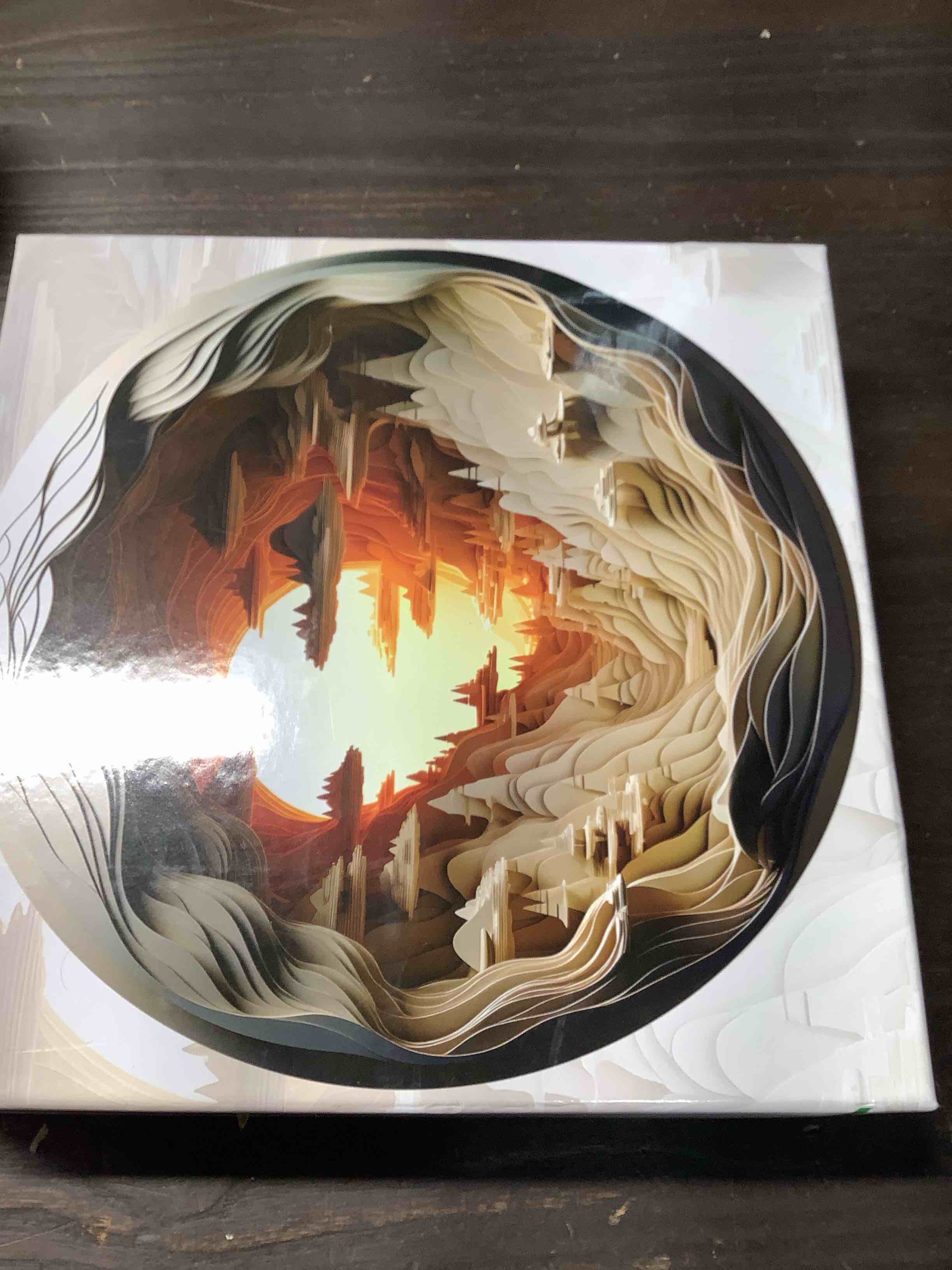 Condition photo showing Good Condition for Bgraamiens- Hard Puzzles for Adults -3D Visual Dawn Inside a Cave - 1000 Pieces Round Puzzle for Adults, Unique Impossible Difficult Hard Challenging Jigsaw Puzzles 1000 Pieces