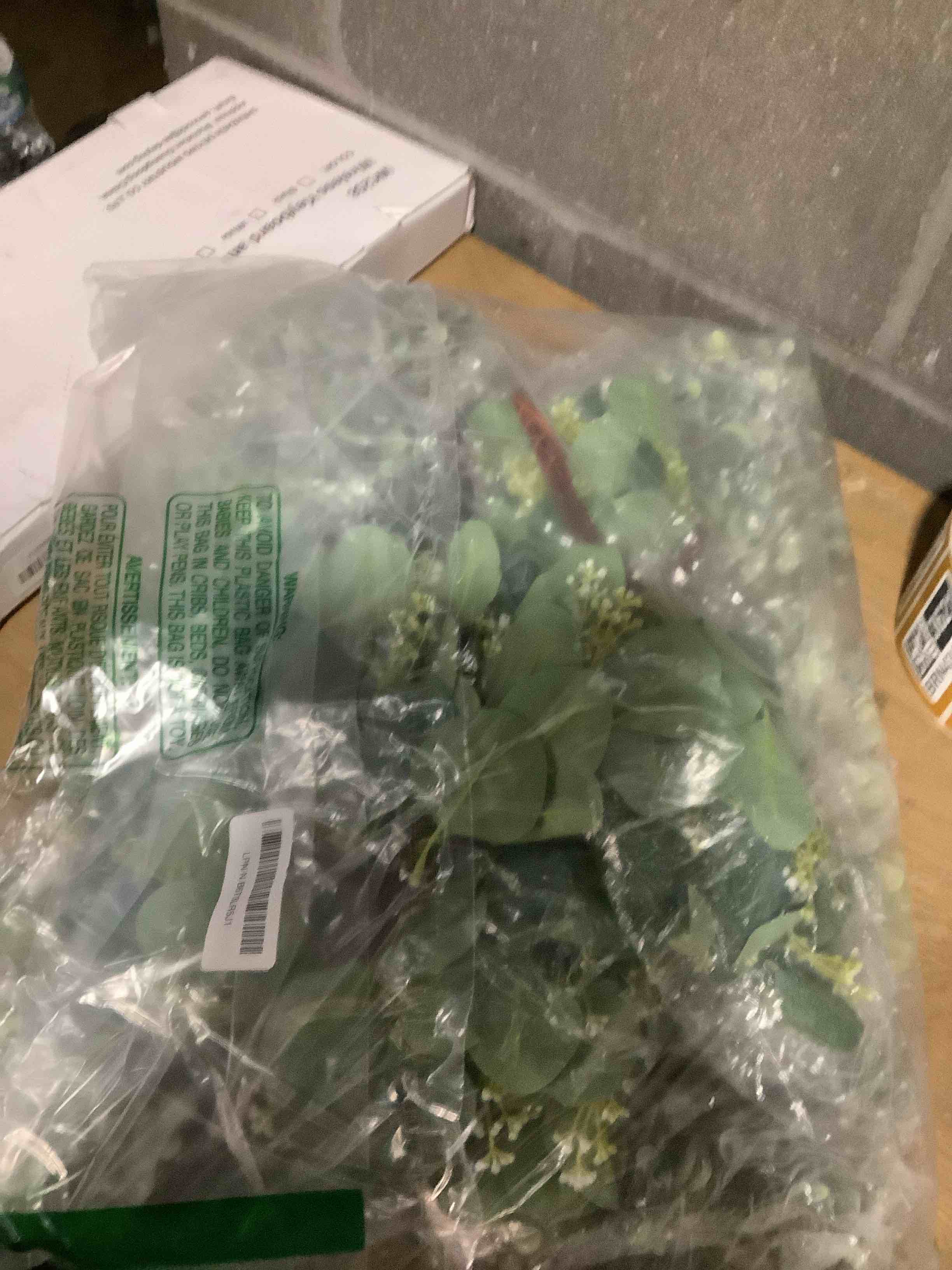 Condition photo showing New/Like New for 120 PCS Artificial Eucalyptus Stems Bulk Faux Silver Dollar Leaves for Vase Bouquets Baby Eucalyptus Leaves for Family Wedding Center Flower Arrangement