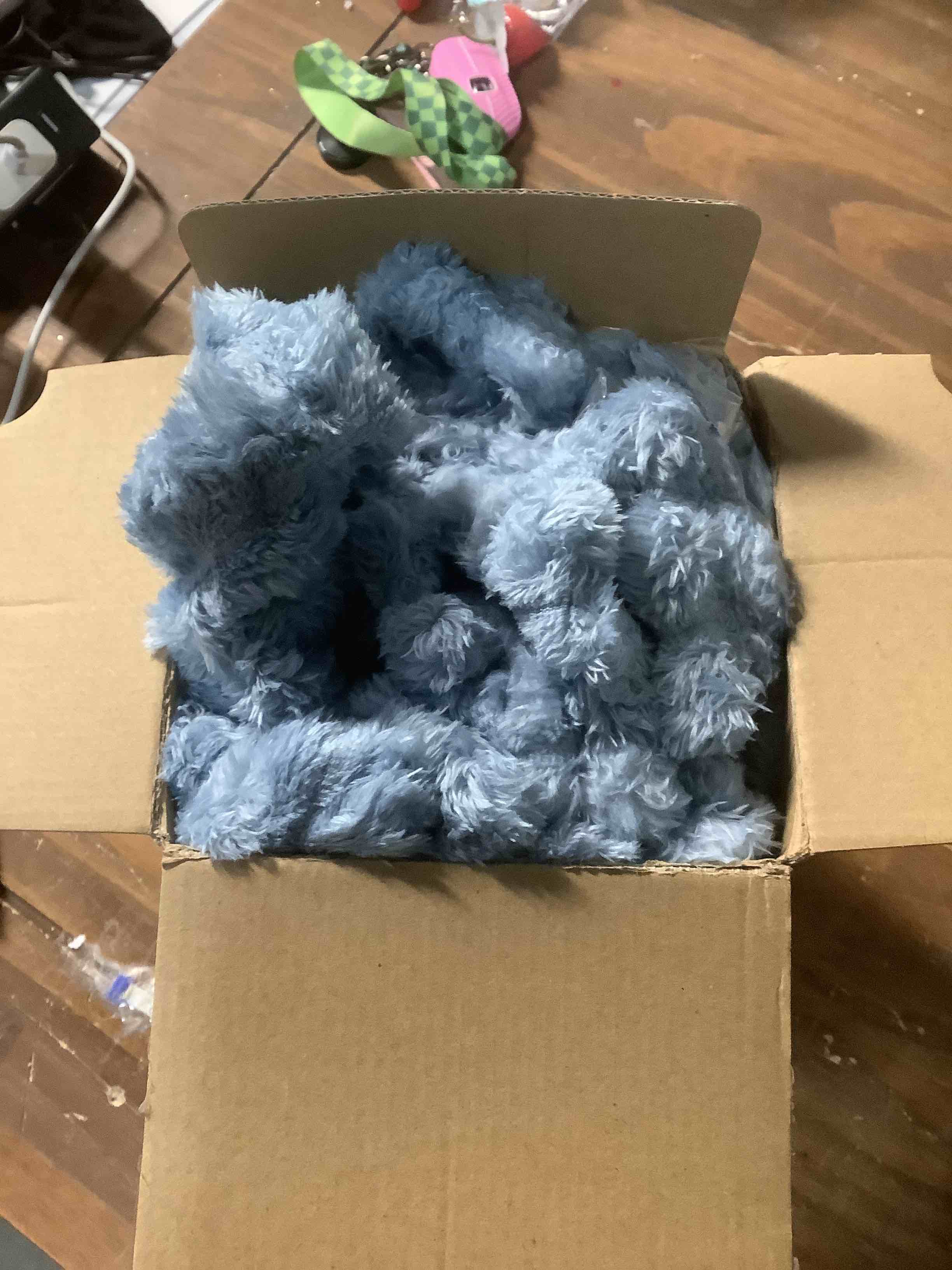 Condition photo showing Good Condition for Bedsure GentleSoft Throw Blanket for Couch - Cozy Soft Blankets for Women, Cute Small Throws for Girls, Ashley Blue, 50x70 Inches Ashley Blue Throw XL (50" x 70")