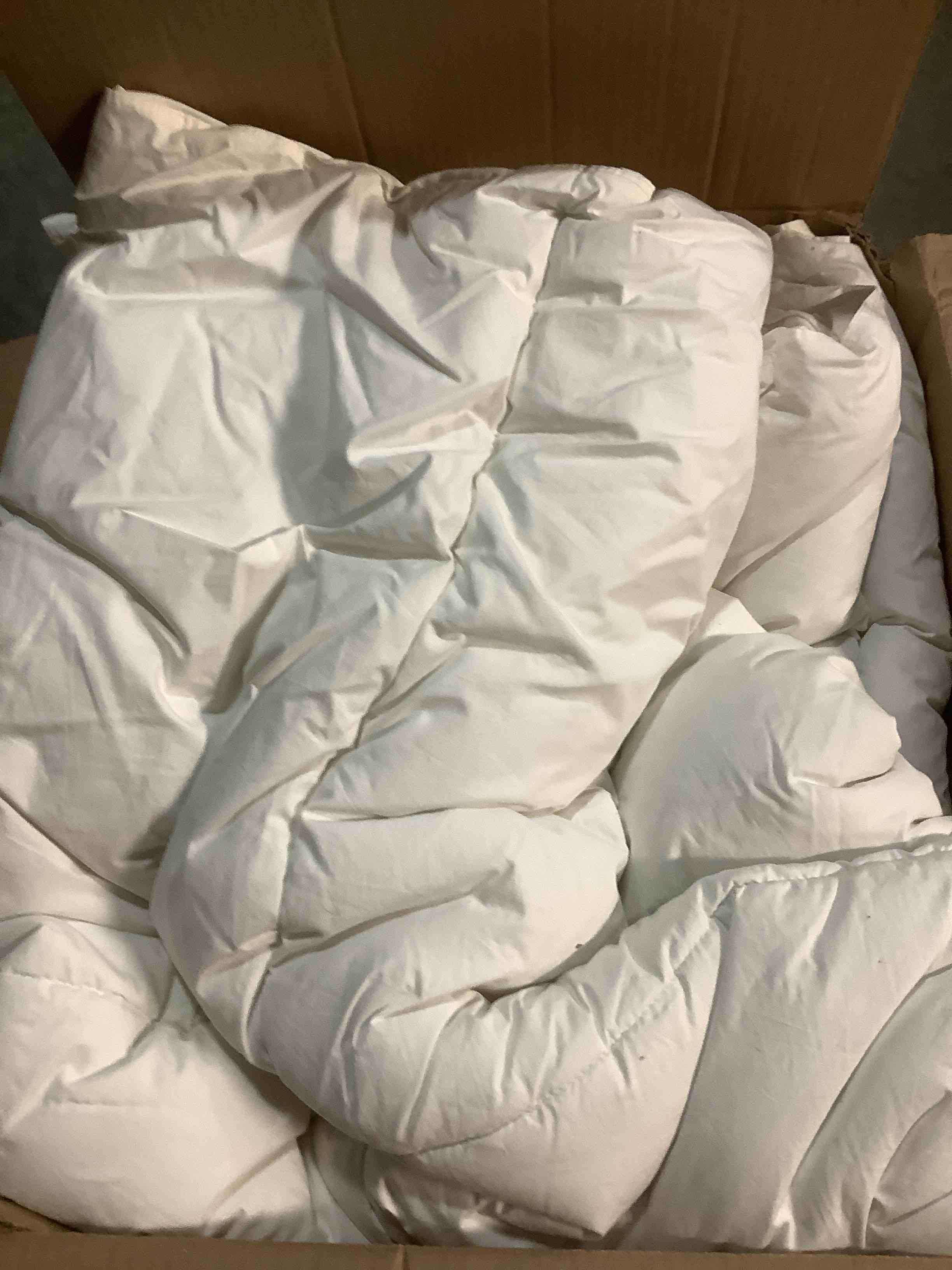 Condition photo showing Good Condition for CREAM IN COLORCosybay Heavyweight Queen Size Feather Down Fiber Comforter - White Thicker Winter Duvet Insert, Ultra Soft 100% Cotton Cover, Luxury Hotel Bedding with Corner Tabs, 90"x90" Queen White/Heavyweight
