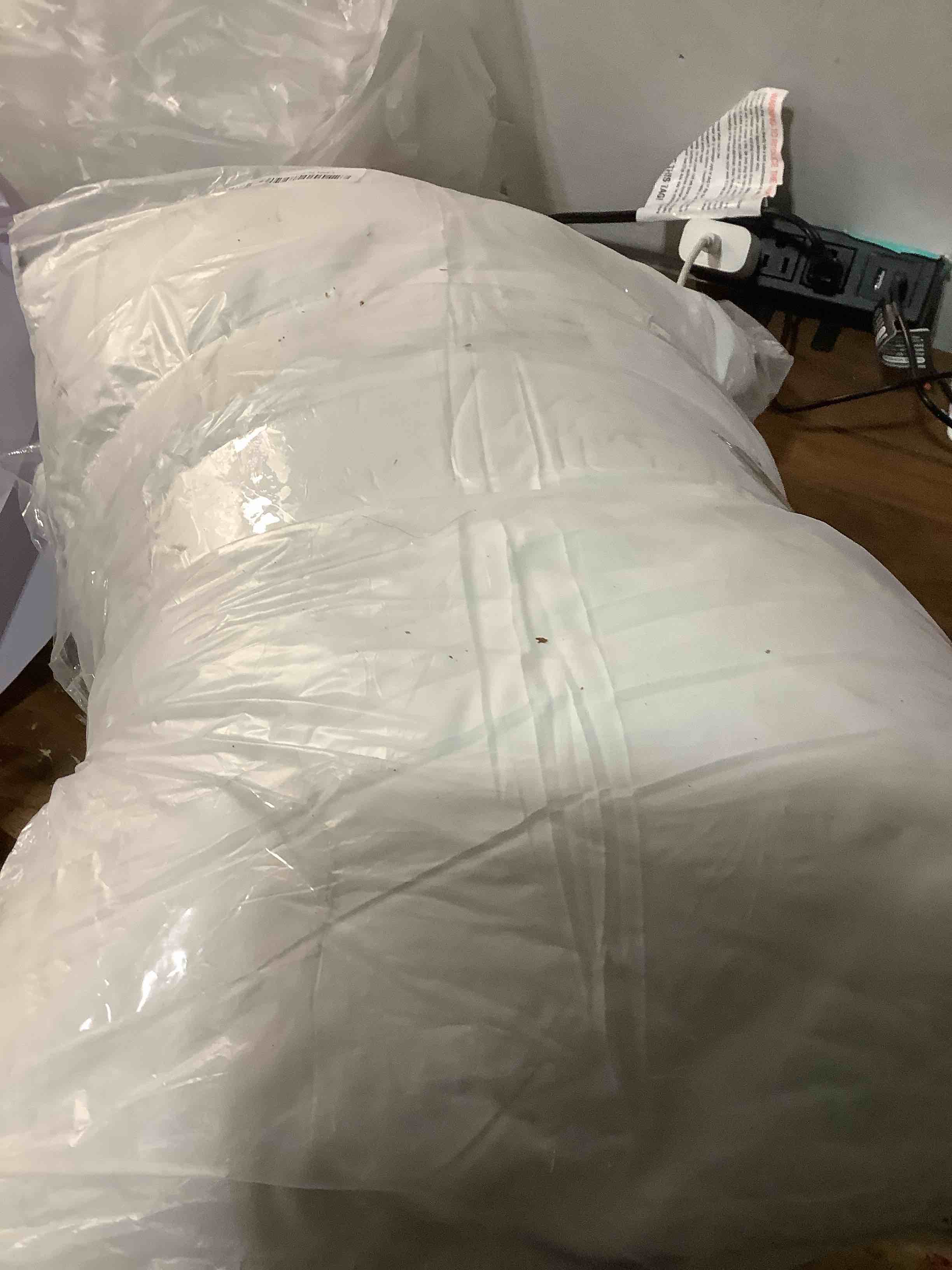 Condition photo showing Good Condition for MIULEE 12x20 Outdoor Pillows, Pack of 2 Water Resistant Waterproof Pillow Inserts Decorative Stuffer for Sofa Couch Patio and Garden