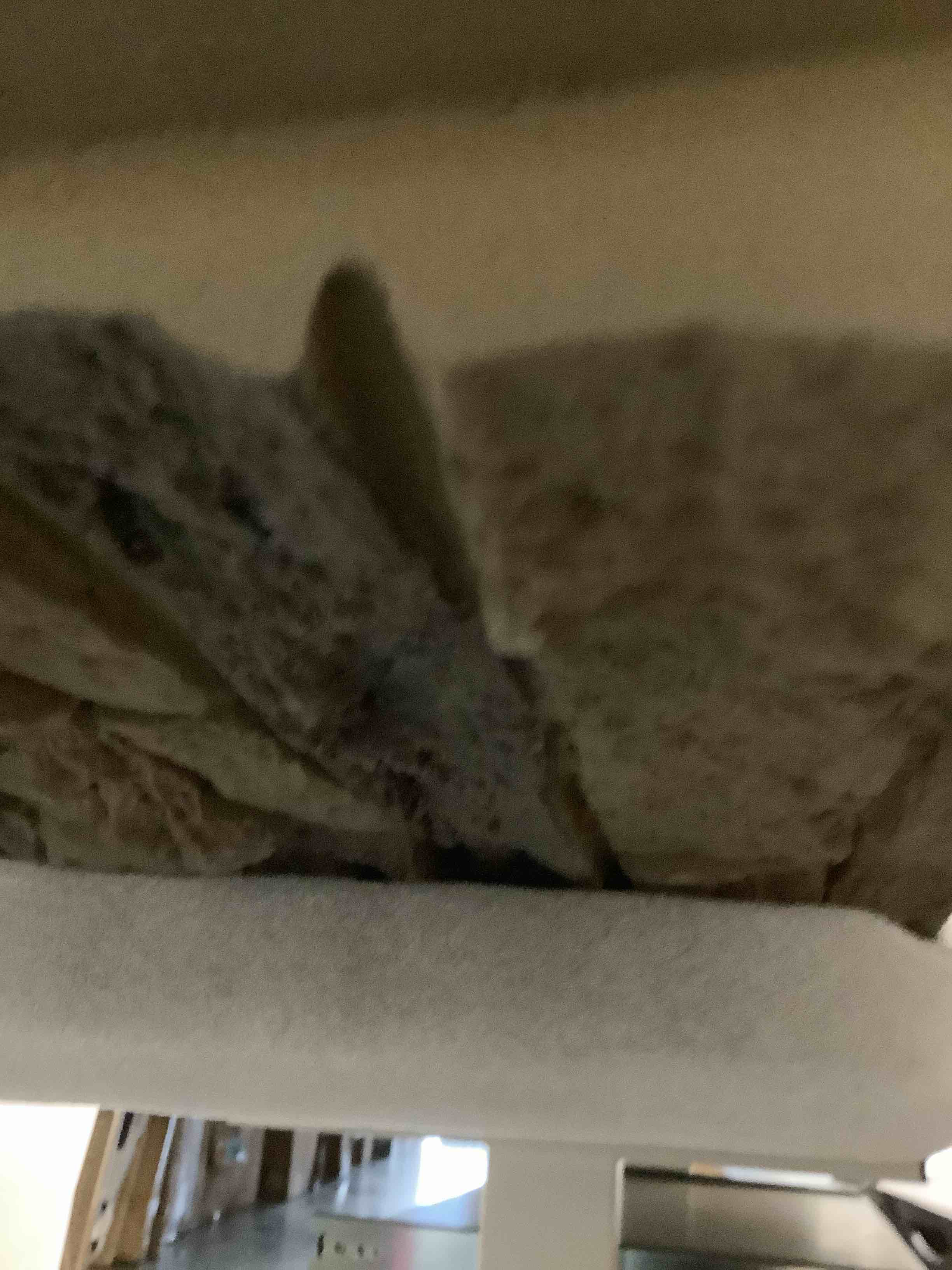 Condition photo showing Good Condition for 2 Pack Faux Stone Panels Interior 45.6''l x 11.8''h x 0.98''d Faux Siding Panels Exterior Artificial 3D Veneer for Wall Decor Outdoor Home Improvement Projects (PU,Light Brown) PU Light Brown 2