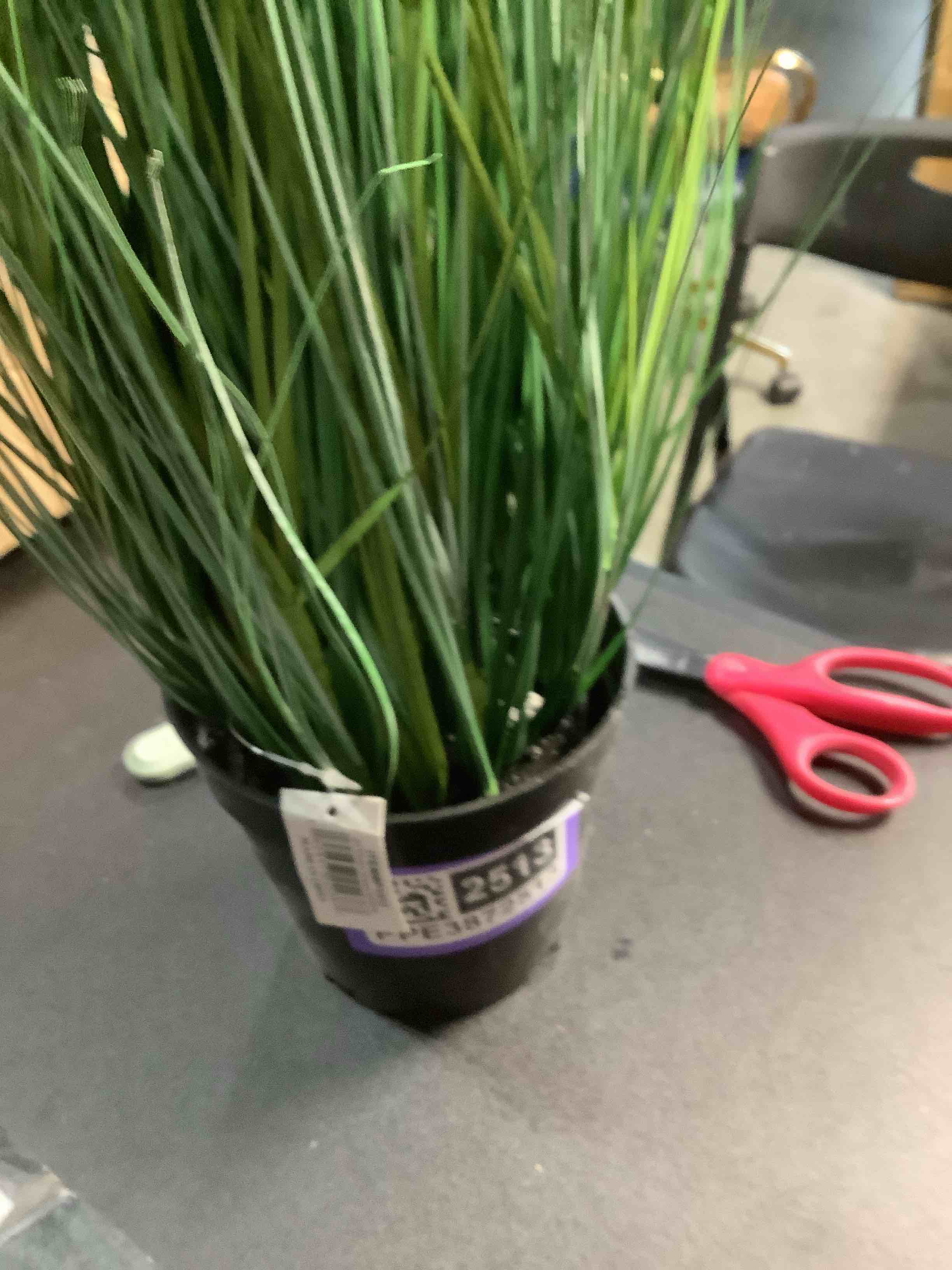 Condition photo showing Good Condition for Nearly Natural 21in. Onion Grass Artificial Plant