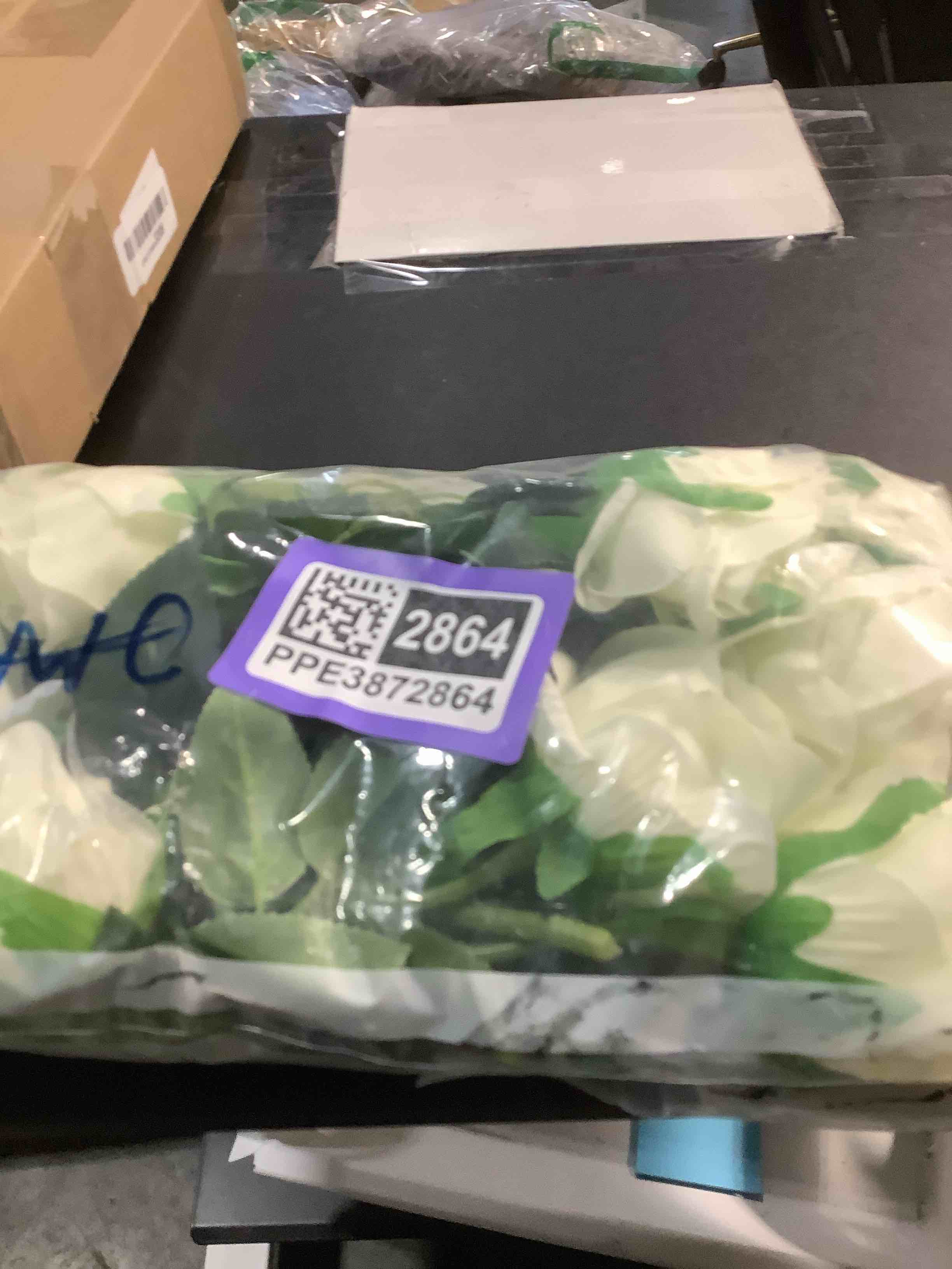 Condition photo showing Good Condition for Nubry Artificial Silk Rose Flower Bouquet Lifelike White Fake Rose for Wedding Home Party Decoration Event Gift 10pcs (Off White)