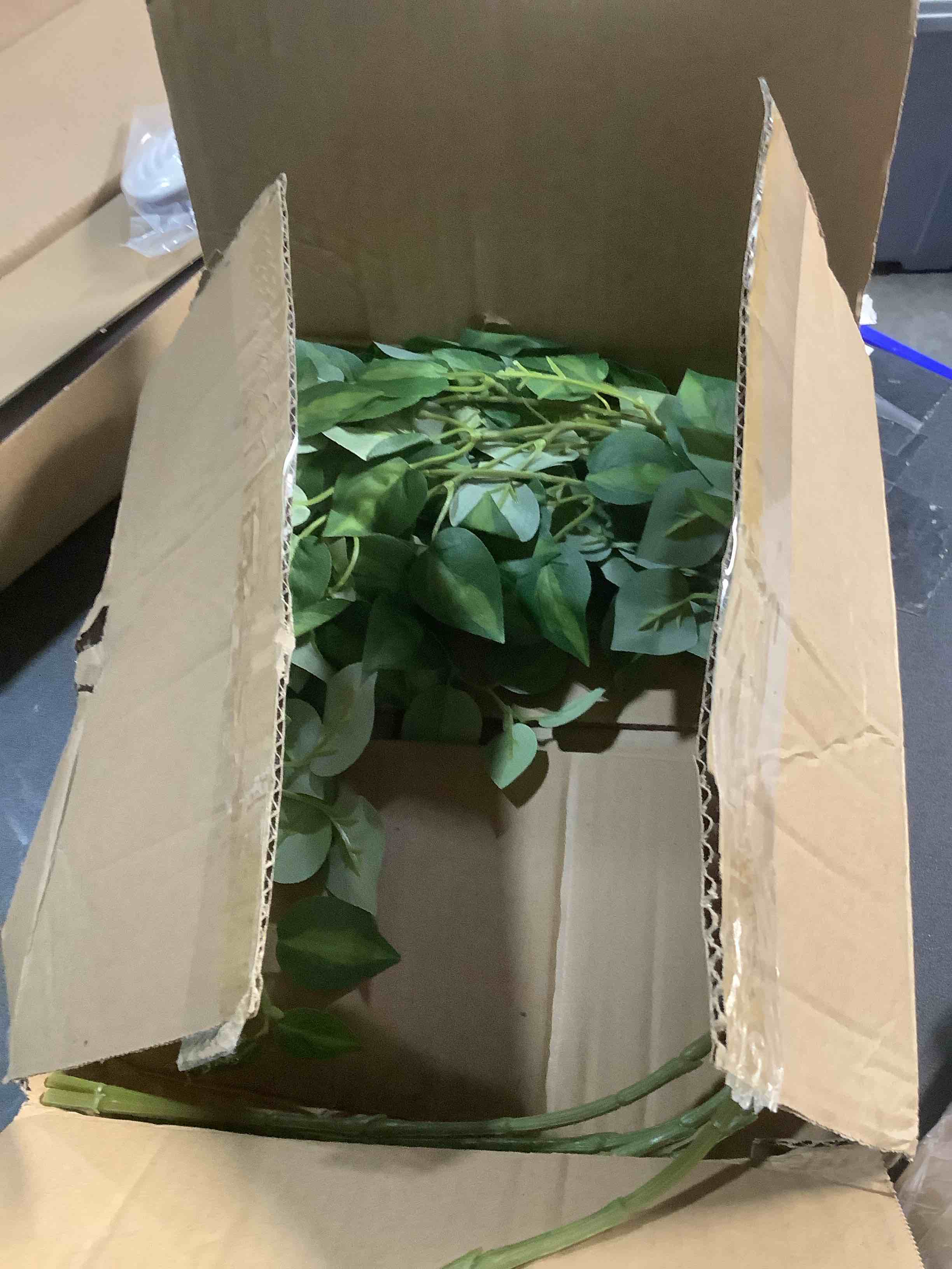 Condition photo showing Good Condition for HyeFlora 5PCS Artificial Eucalyptus Leaves Stem Plants for Spring Decor, 32.7 inch Fake Leaves Greenery Branches Green Shrubs Silk Faux Foliage DIY Stems for Festival Home Kitchen Farmhouse(Green)