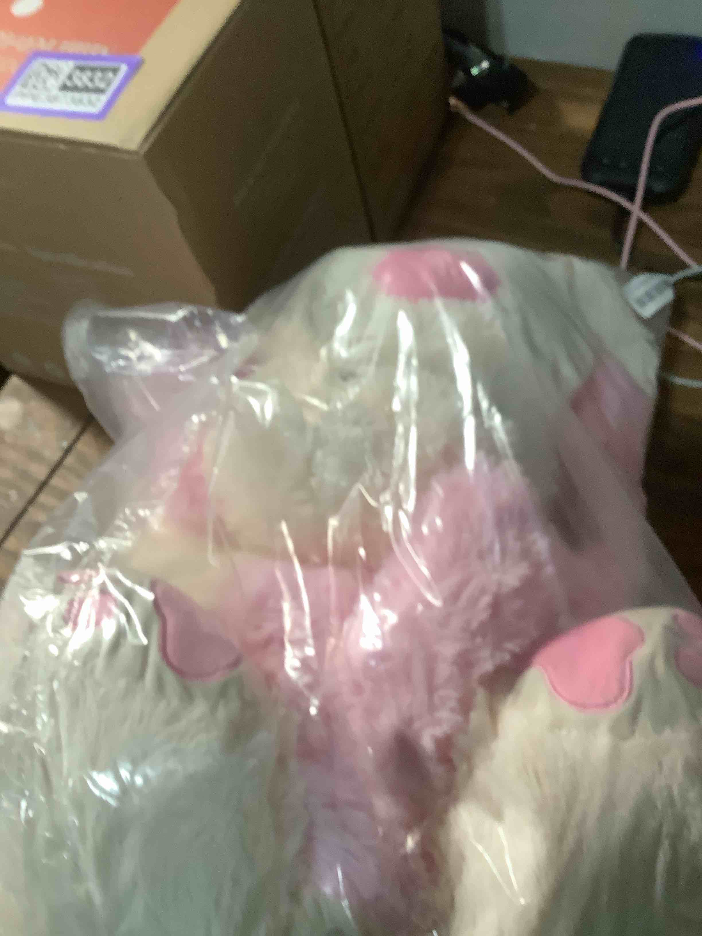 Condition photo showing Good Condition for MaoGoLan Giant Stuffed Puppy Dog Big Plush Extra Large Stuffed Animals Soft Plush Dog Pillow for Girls Kids 31 inch Pink 31 Inches