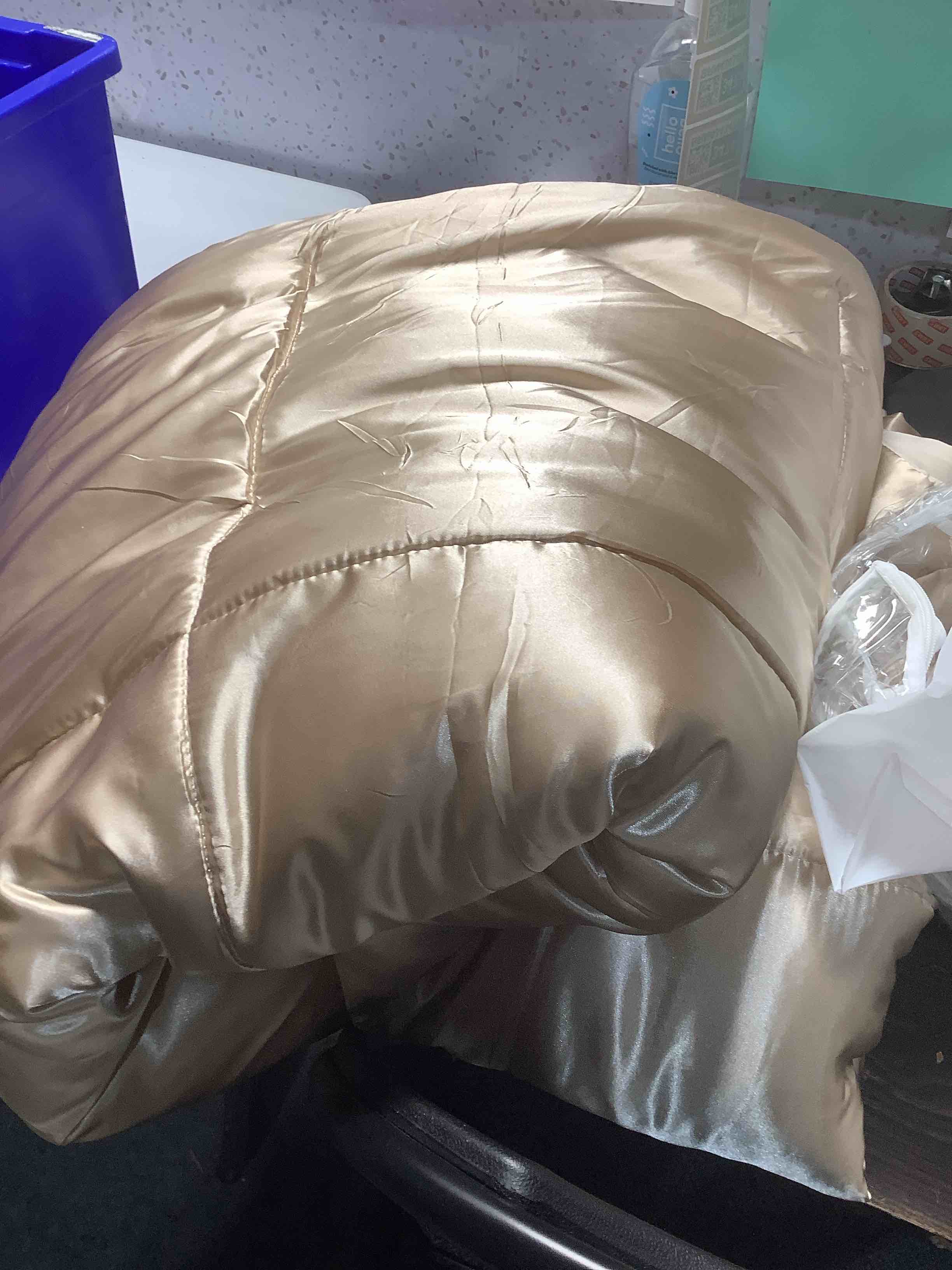 Condition photo showing As Is for Whale Flotilla 3-Piece Reversible Silky Soft King Size Comforter Bedding Set, Luxurious Satin Comforters Oversized with 2 Satin Pillowcases, Lightweight Duvet for All Seasons, Champagne Champagne King(90"X102")