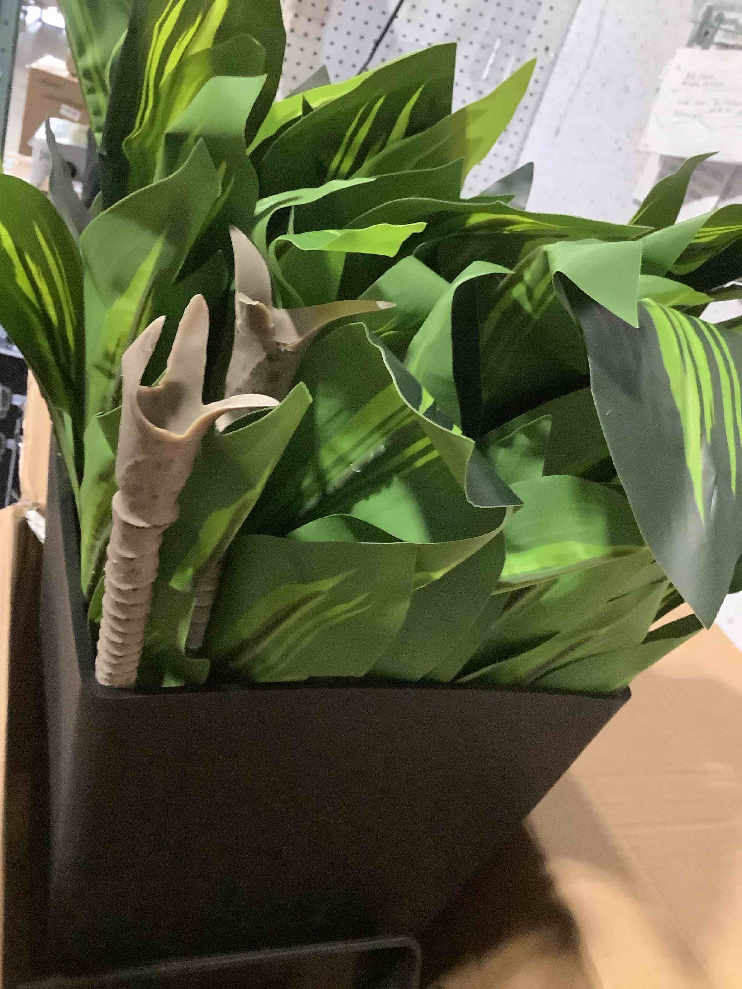 https://s3.amazonaws.com/lotting-images-prod/NKYBargainOutlett/PPE3874924_1776872160238.jpeg