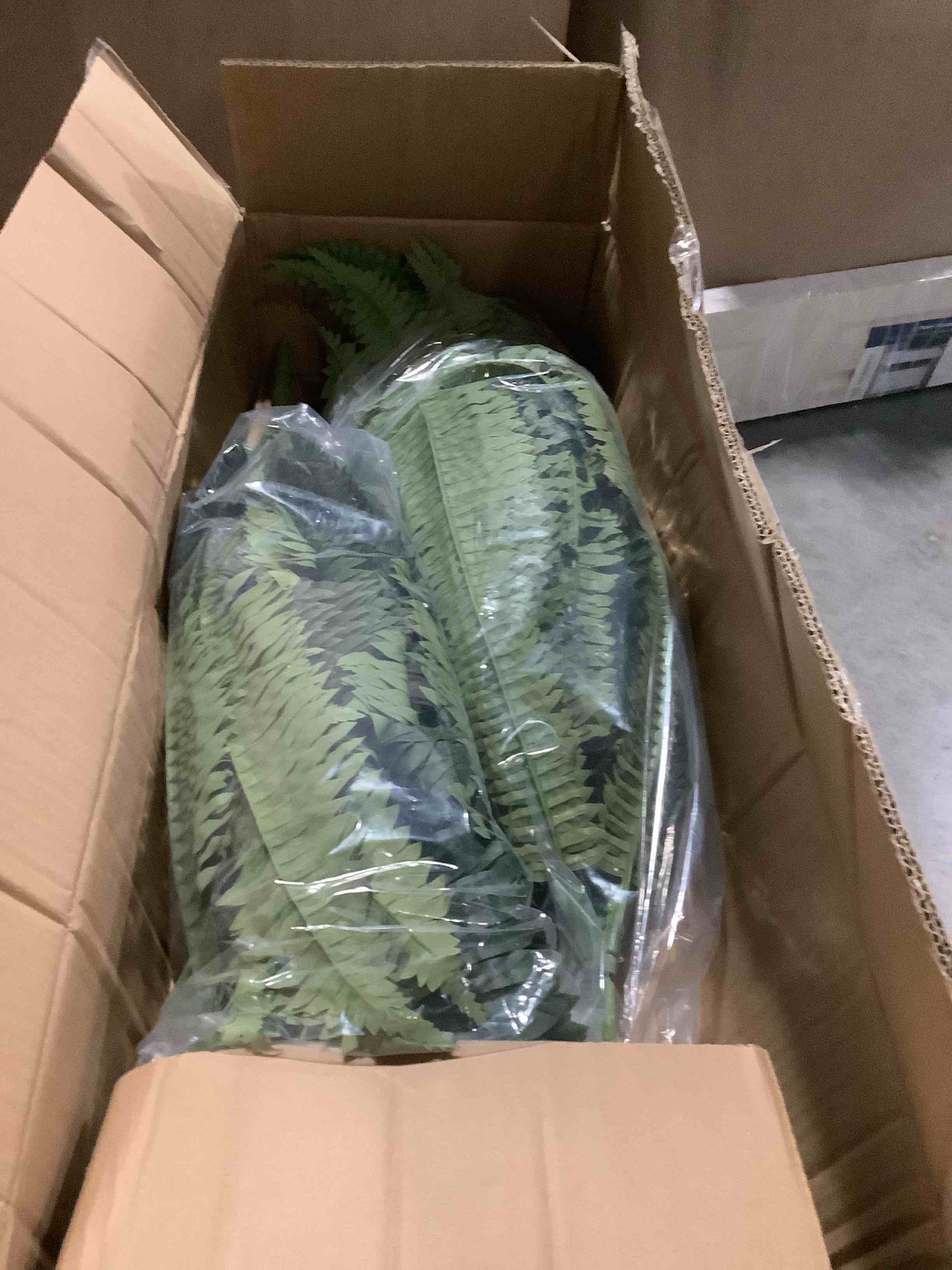 https://s3.amazonaws.com/lotting-images-prod/NKYBargainOutlett/PPE3875155_1778094192783.jpeg
